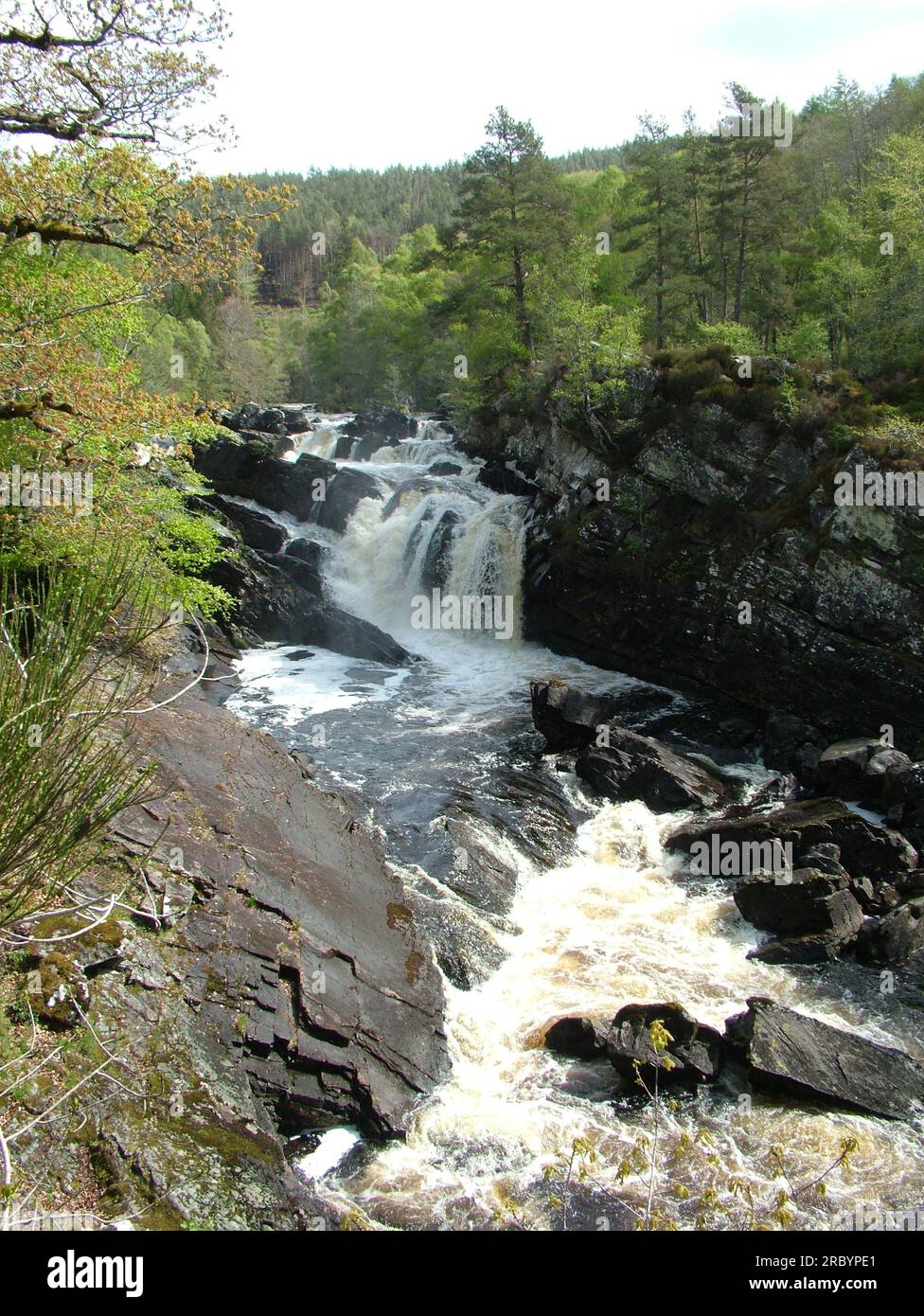 Les chutes de Rogie sont une série de chutes d'eau sur la Black Water, une rivière à Easter Ross dans les Highlands de l'Écosse. Banque D'Images