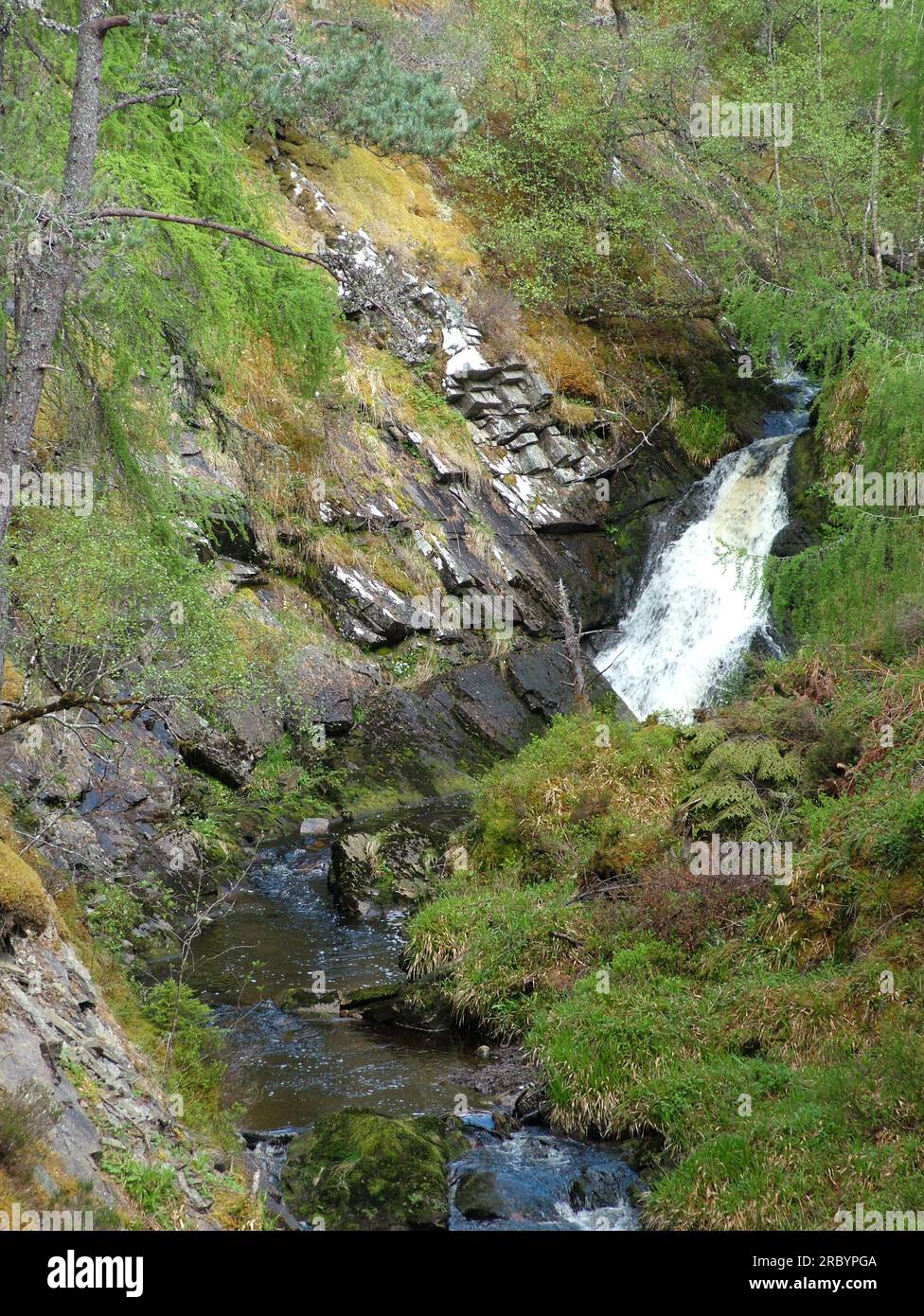 Chute d'eau tombant dans la gorge de Raven Rock gorge aux flancs escarpés dans les hauts plateaux écossais pris par une journée lumineuse avec le soleil brillant. à la fin du printemps. Banque D'Images