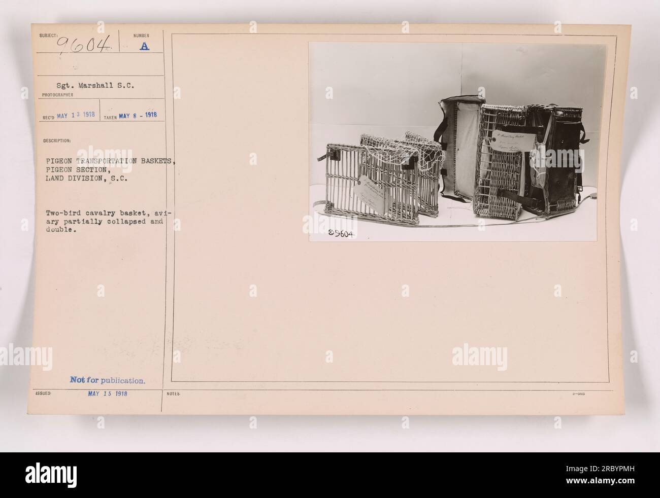 L'image représente un panier de cavalerie à deux oiseaux partiellement effondré utilisé pour le transport de pigeons dans la section des pigeons de la division terrestre, en Caroline du Sud Cette photographie a été prise le 8 mai 1918 et n'est pas destinée à la publication. Banque D'Images
