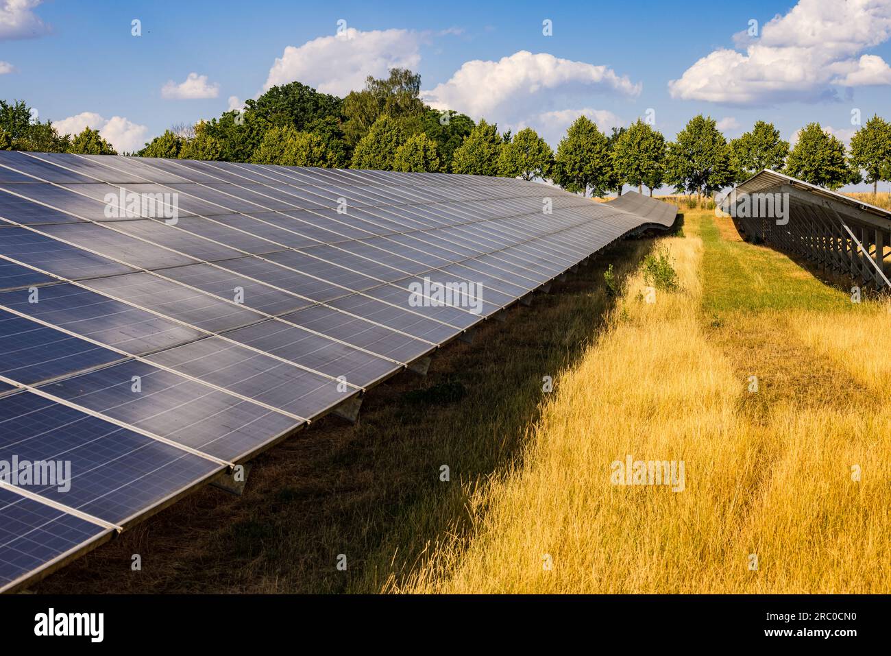 Viele Reihen von Solarmodulen eines Solarkraftwerkes zur Erzeugung von regenerativem Strom, Allemagne Banque D'Images