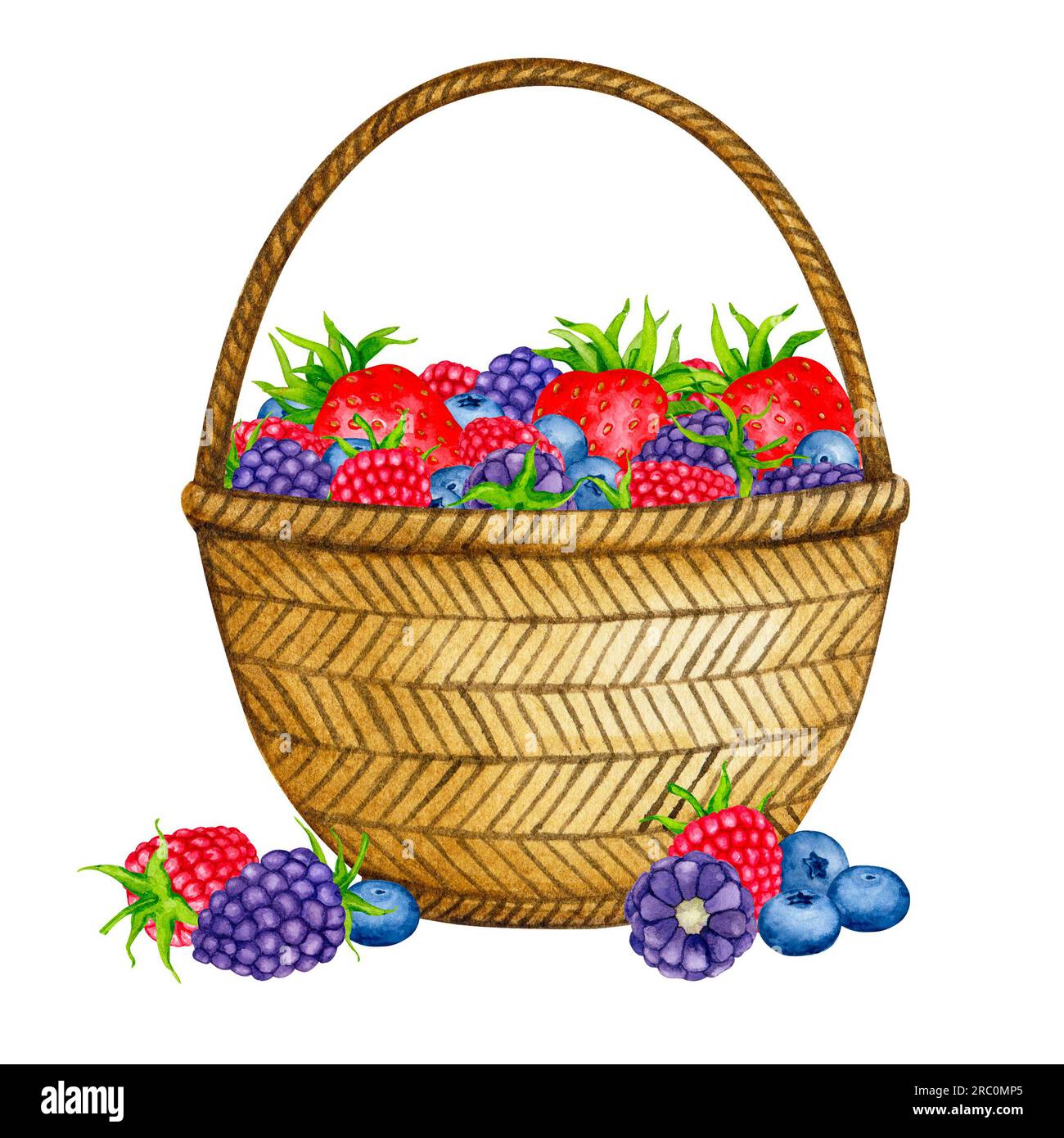 Panier avec baies.fraise, framboise, mûre, myrtille. Composition aquarelle. Clipart réaliste pour emballages, cartes postales, menus, logos, fa Banque D'Images