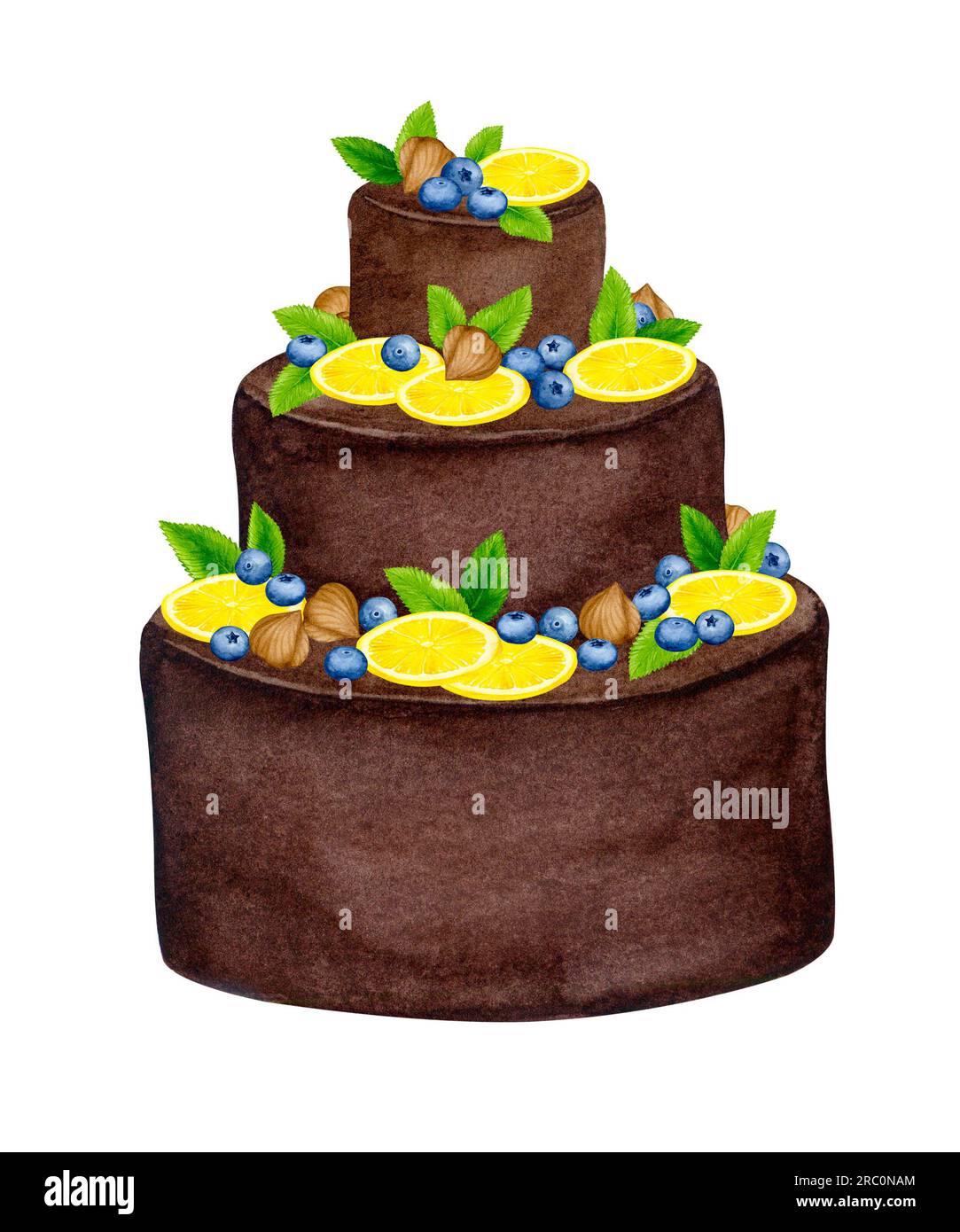 Gâteau au chocolat décoré de fruits, noix et menthe. Clipart de vacances aquarelle pour la conception de cartes postales, cartes de voeux, invitations, menus, logos, fa Banque D'Images