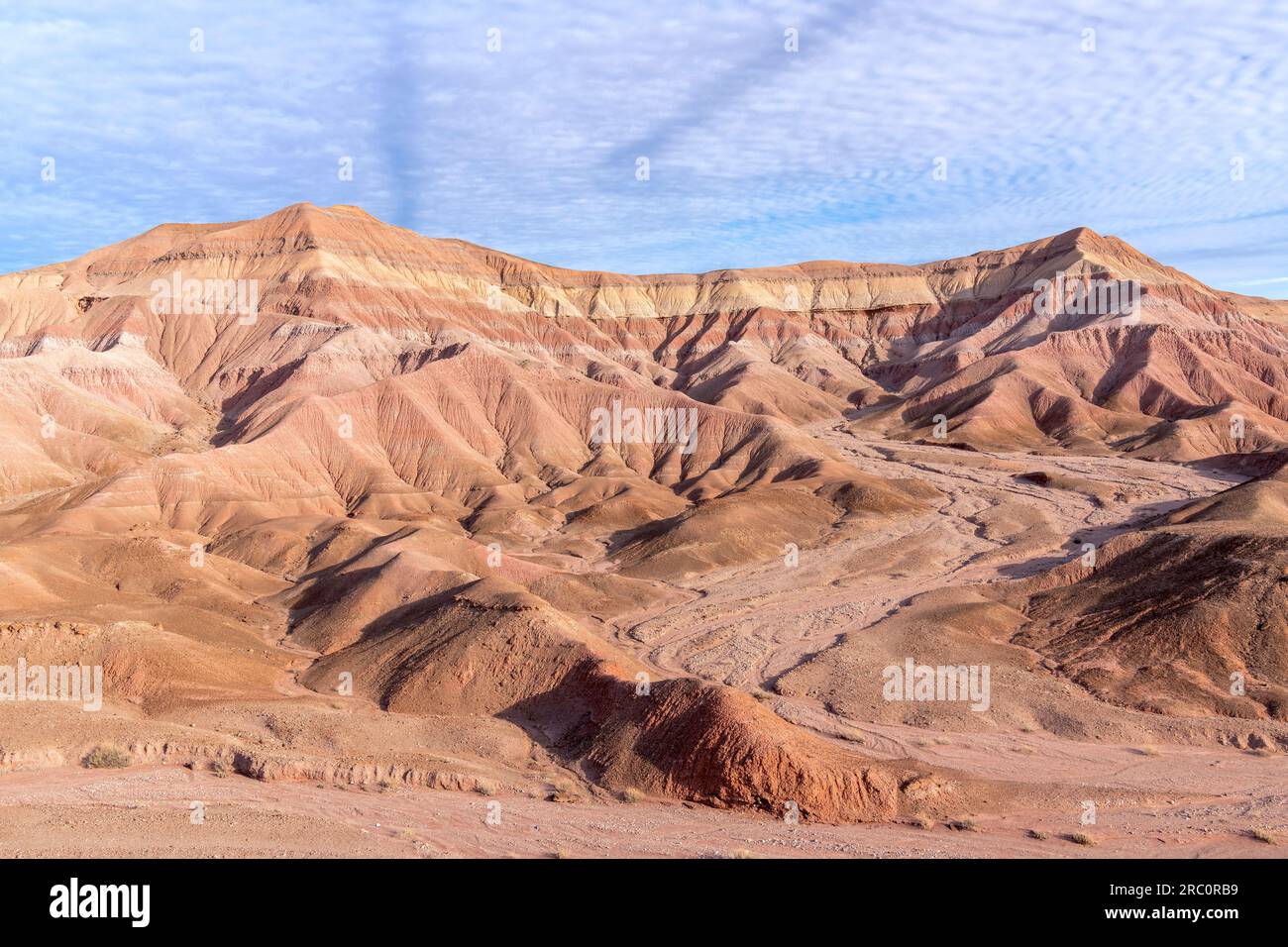 Erosinal, mesas, collines ondulantes et paysage désertique, le désert peint, près de Tuba City, AZ, USA, Par Dominique Braud/Dembinsky photo Assoc Banque D'Images