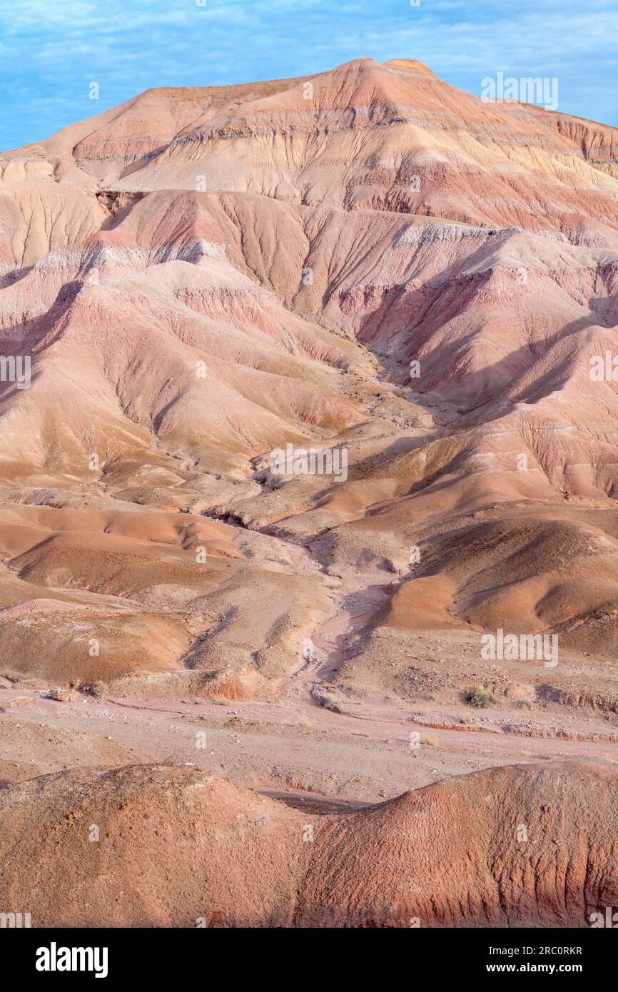 Erosinal, mesas, collines ondulantes et paysage désertique, le désert peint, près de Tuba City, AZ, USA, Par Dominique Braud/Dembinsky photo Assoc Banque D'Images