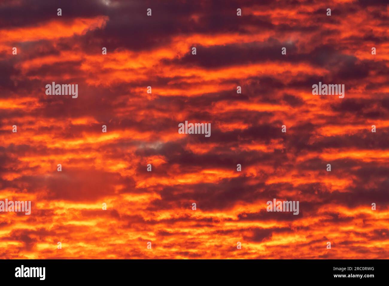 stratus fracturé et cumulus, coucher de soleil, est des États-Unis, par Dominique Braud/Dembinsky photo Assoc Banque D'Images