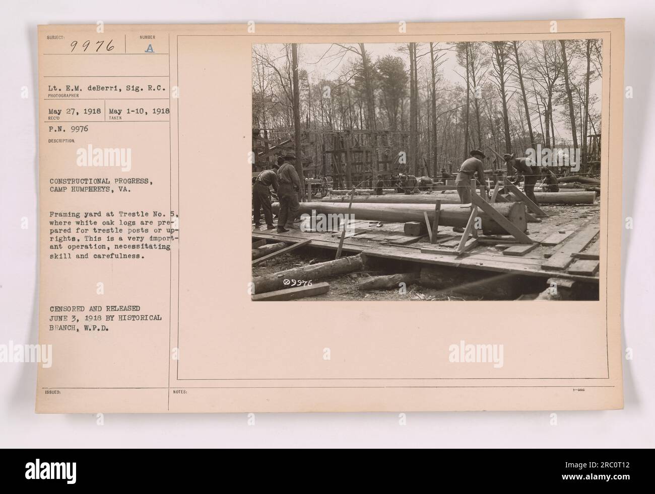 L'image montre une cour de charpente à Trestle n ° 5 à Camp Humphreys, Virginie pendant la construction en mai 1918. La cour est utilisée pour préparer des bûches de chêne blanc à utiliser comme poteaux de tréteaux ou montants. Ce processus exigeait des compétences et de la prudence. L'image a été censurée et publiée le 3 juin 1918. Banque D'Images