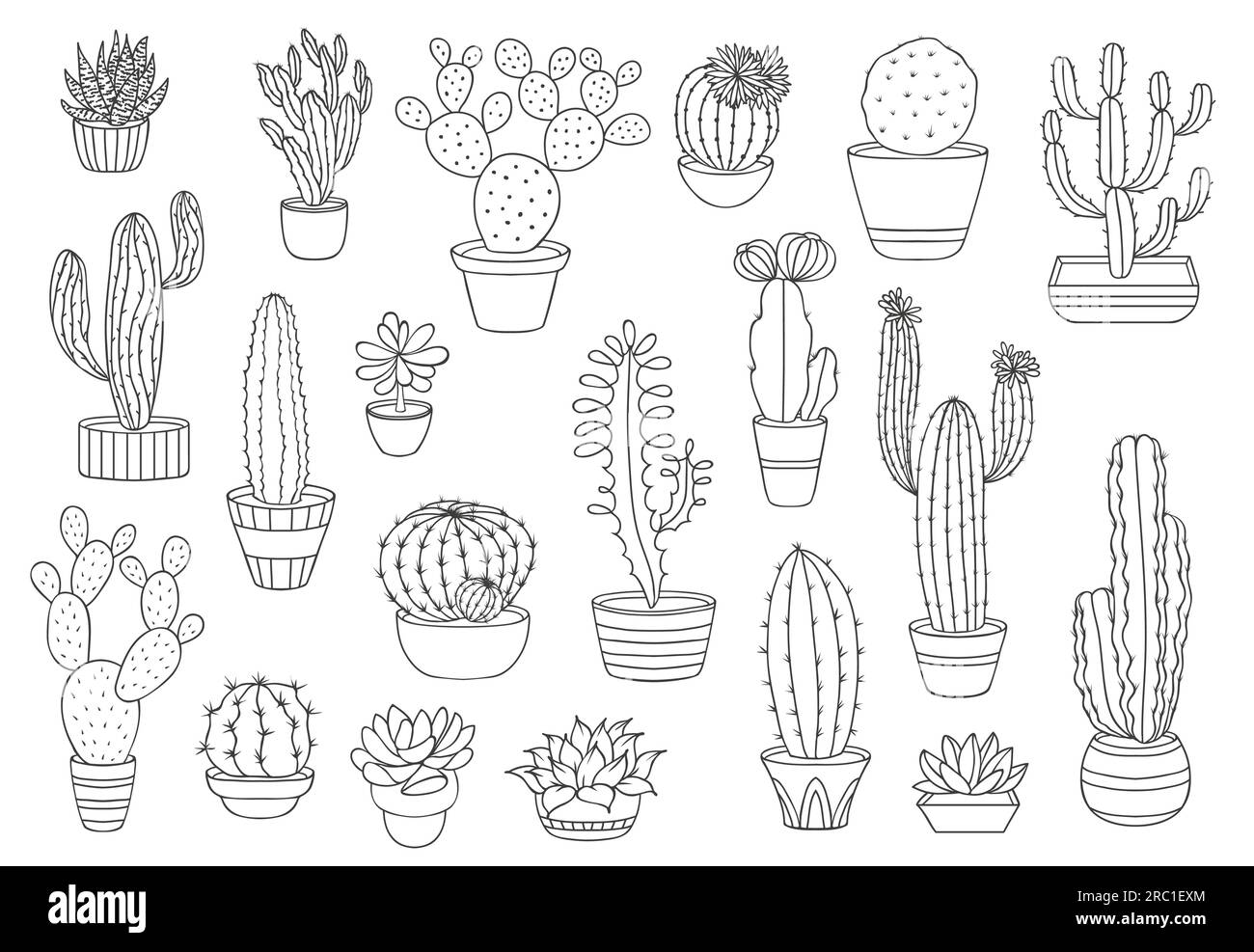 Contour succulentes de cactus, plantes du désert vecteur. Cactus à ligne mince dans des pots de fleurs, agave mexicain, opuntia ou poire de Barbarie, saguaro, echeveria et Haworthia cactus, succulentes avec des feuilles piquées, fleurs Illustration de Vecteur