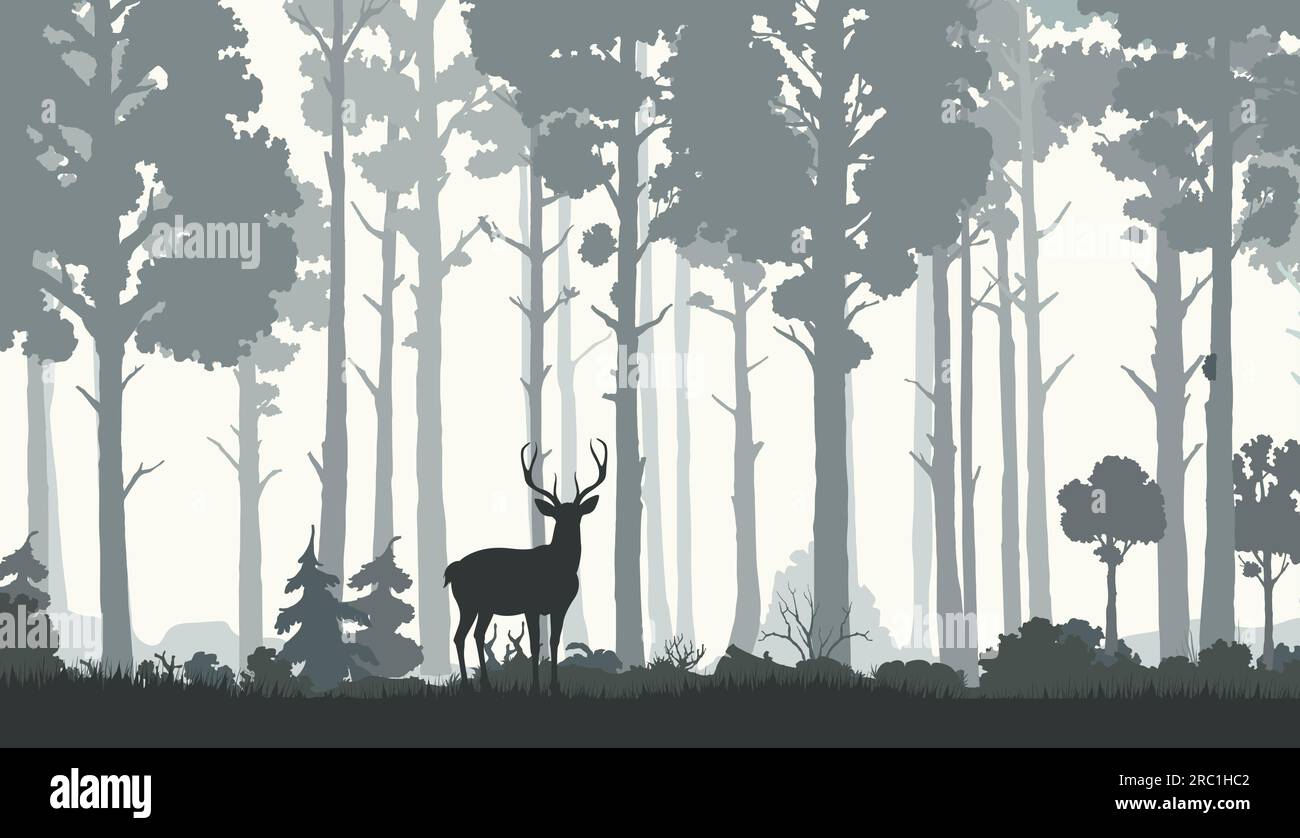 Silhouettes de forêt matinale avec des cerfs. Fond de vecteur de paysage de nature avec la scène de la faune forestière. Pins dans le brouillard, cerfs, wapitis ou cerfs de renne avec bois, plantes boisées et prairie d'herbe Illustration de Vecteur