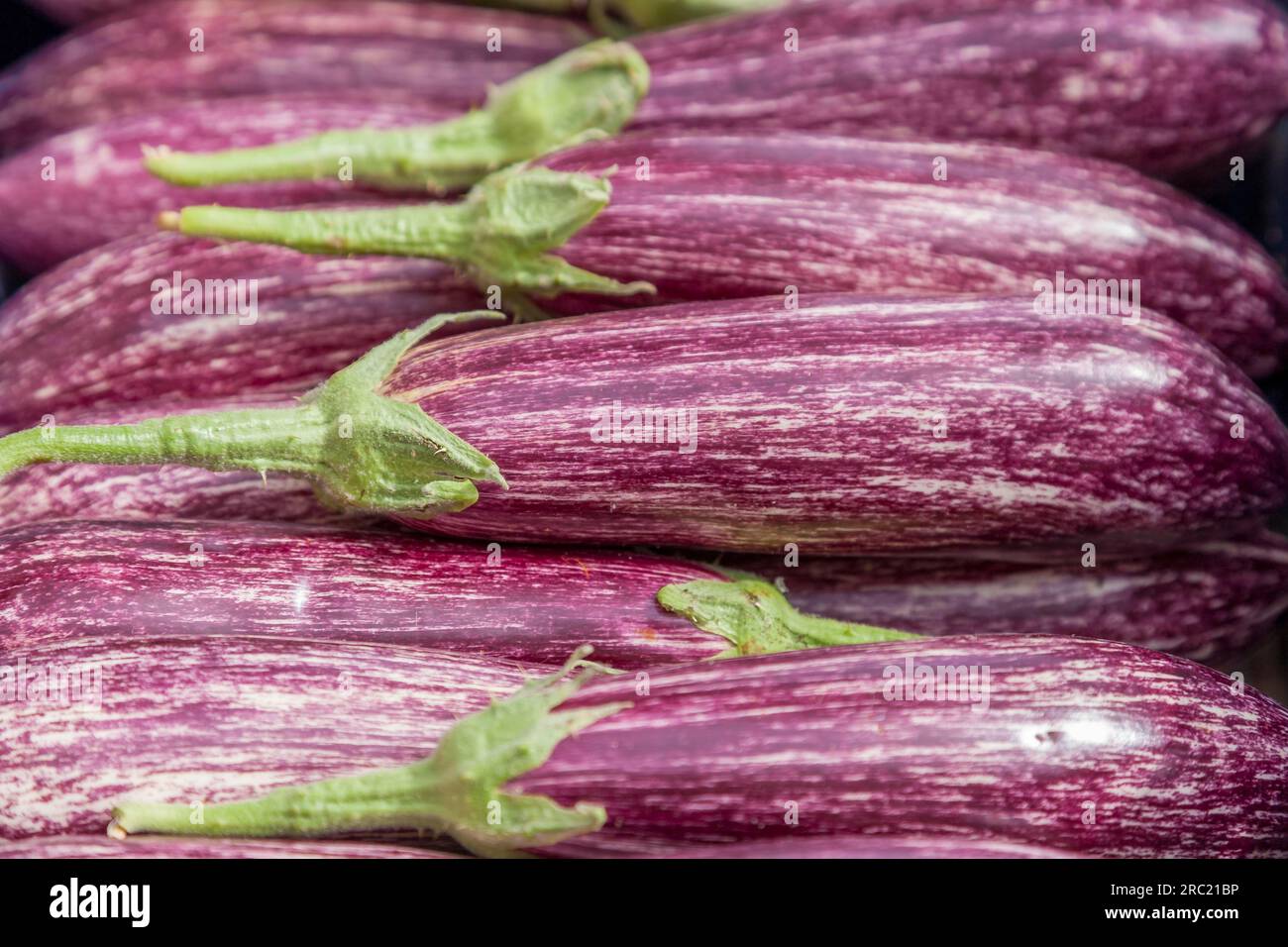 Aubergines Banque D'Images