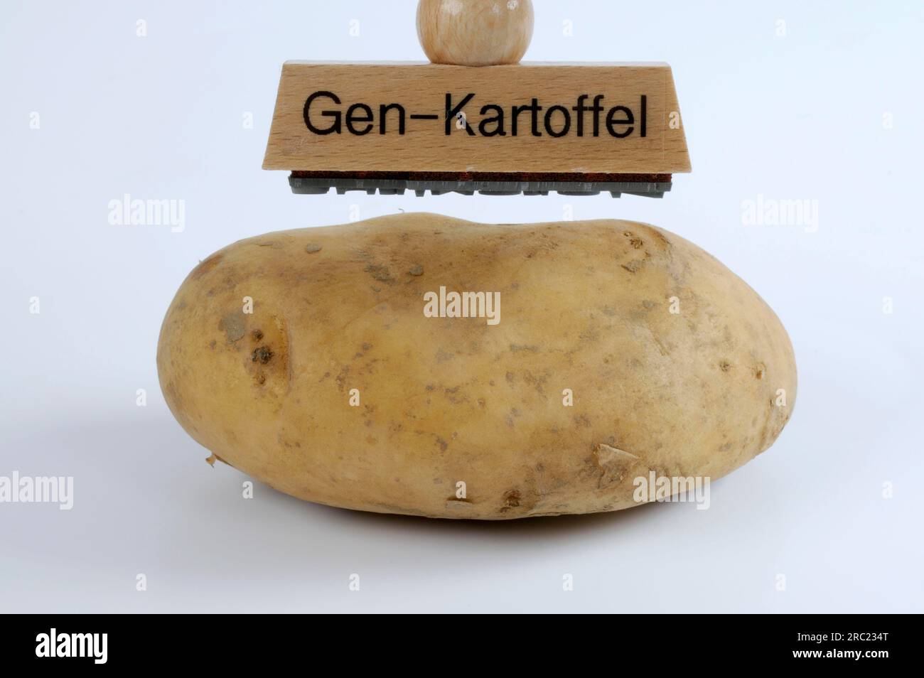 Pomme de terre (Solanum tuberosum) et timbre 'gène pomme de terre', gène, gène aliment, recherche génique, manipulation génique, manipulation génique, manipulation génique, génétique Banque D'Images