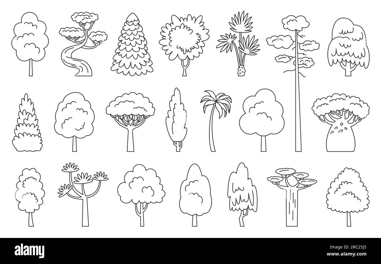 Ensemble d'icônes de ligne d'arbre. Séquoia de palmier de baobab d'érable d'épicéa. Livre de coloriage éco plantes vue de côté. Dracaena saule cyprès thuja pin chêne peuplier bouleau. Dessin animé forêt de tremble aulne cendre tilleul acacia châtaigne Illustration de Vecteur