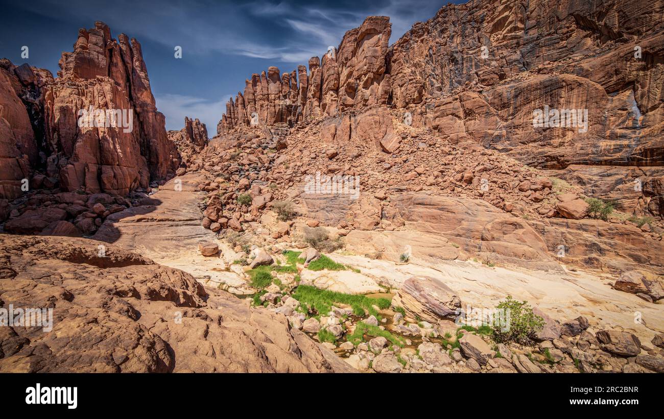 Immergées dans l'émerveillement, les formations rocheuses monumentales près de Guelta d'Archei à Ennedi, au Tchad, captivent par leur beauté et leur grandeur intemporelles. Banque D'Images