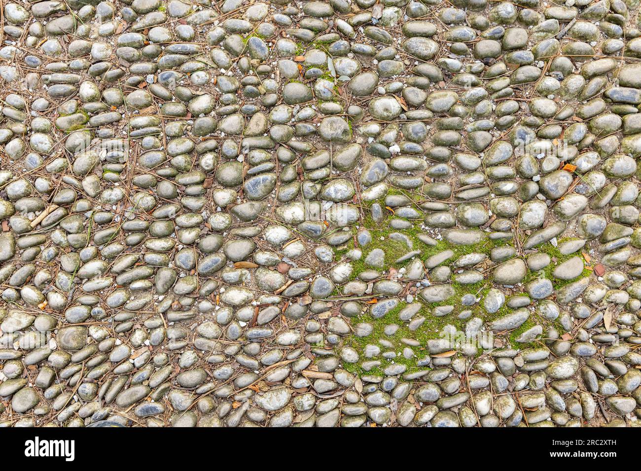 Route rurale rocheuse avec de petites pierres, concept de texture Banque D'Images
