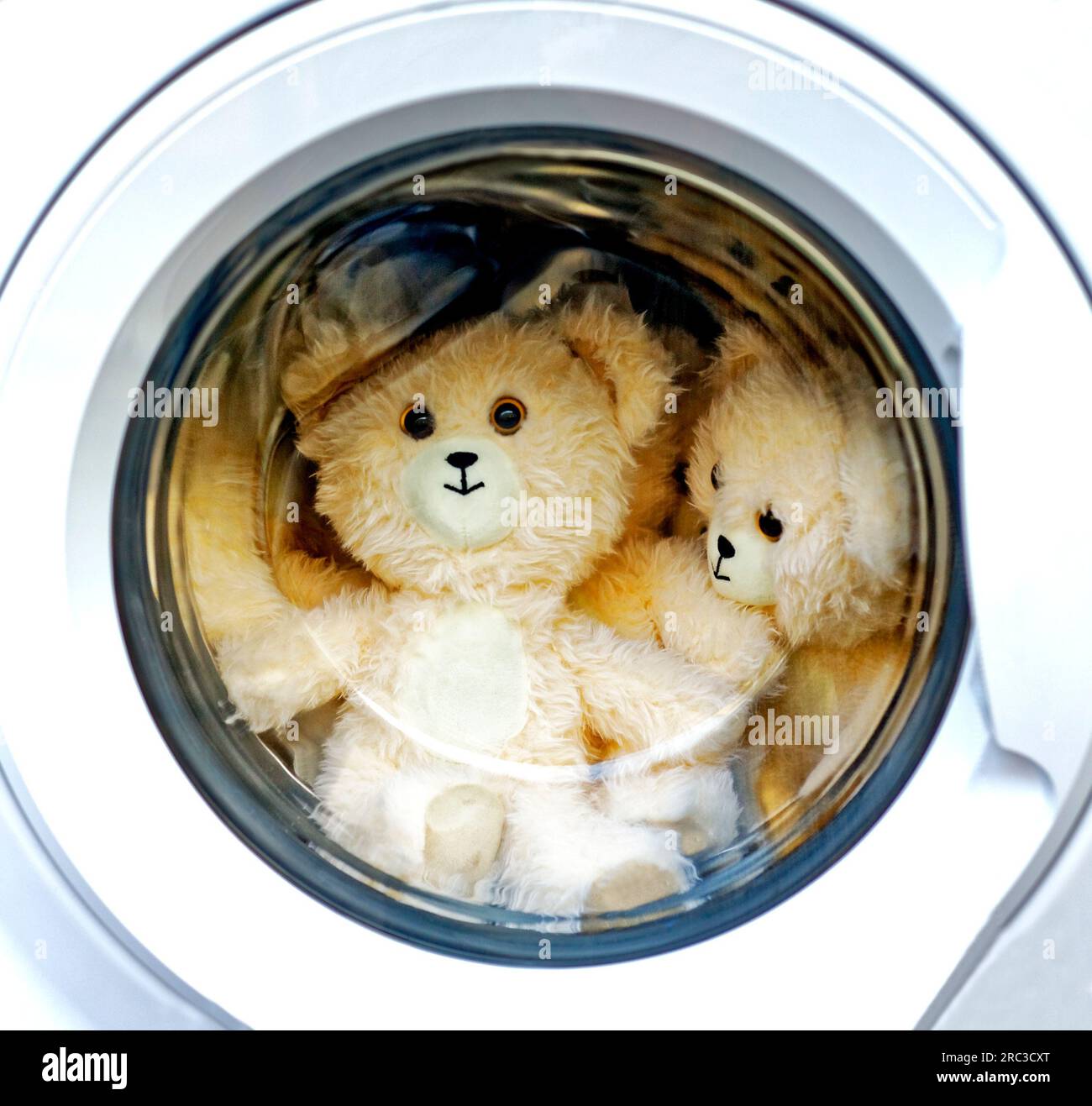 ours en peluche dans la machine à laver Banque D'Images