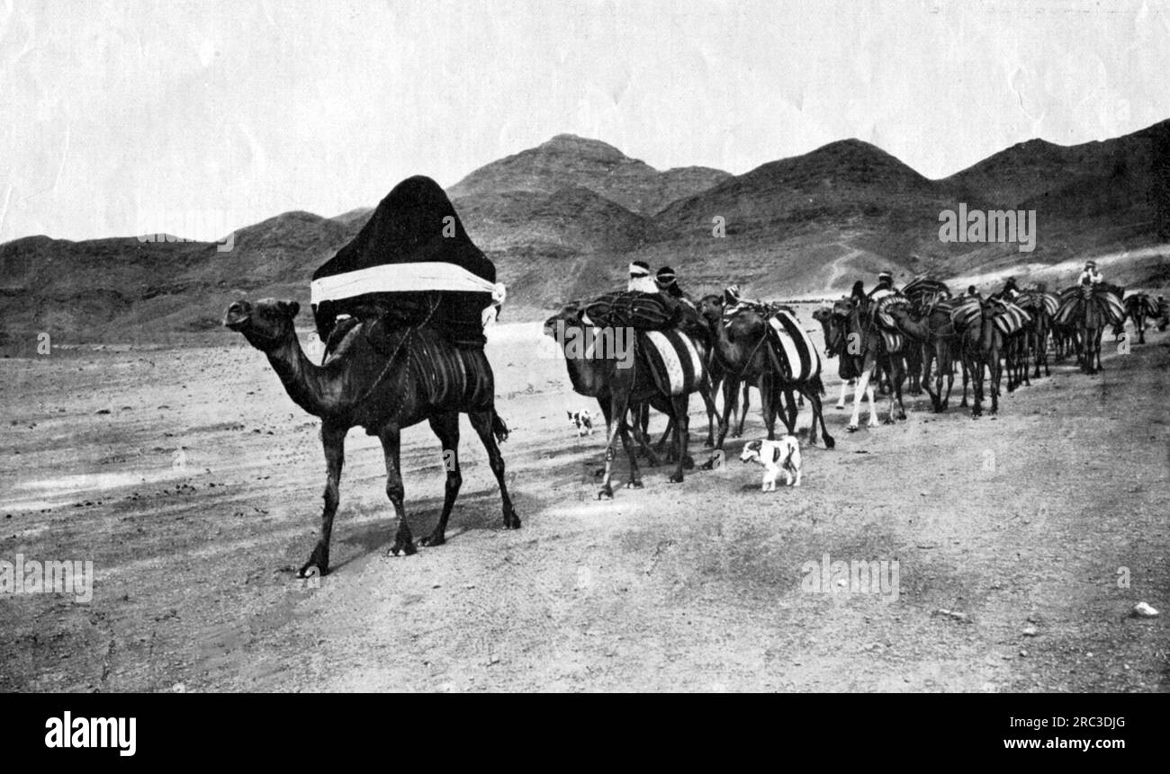 Géographie / voyage, Tunisie, personnes, caravane traversant le désert, près du golfe de Gabès, vers 1910, ADDITIONAL-RIGHTS-CLEARING-INFO-NOT-AVAILABLE Banque D'Images