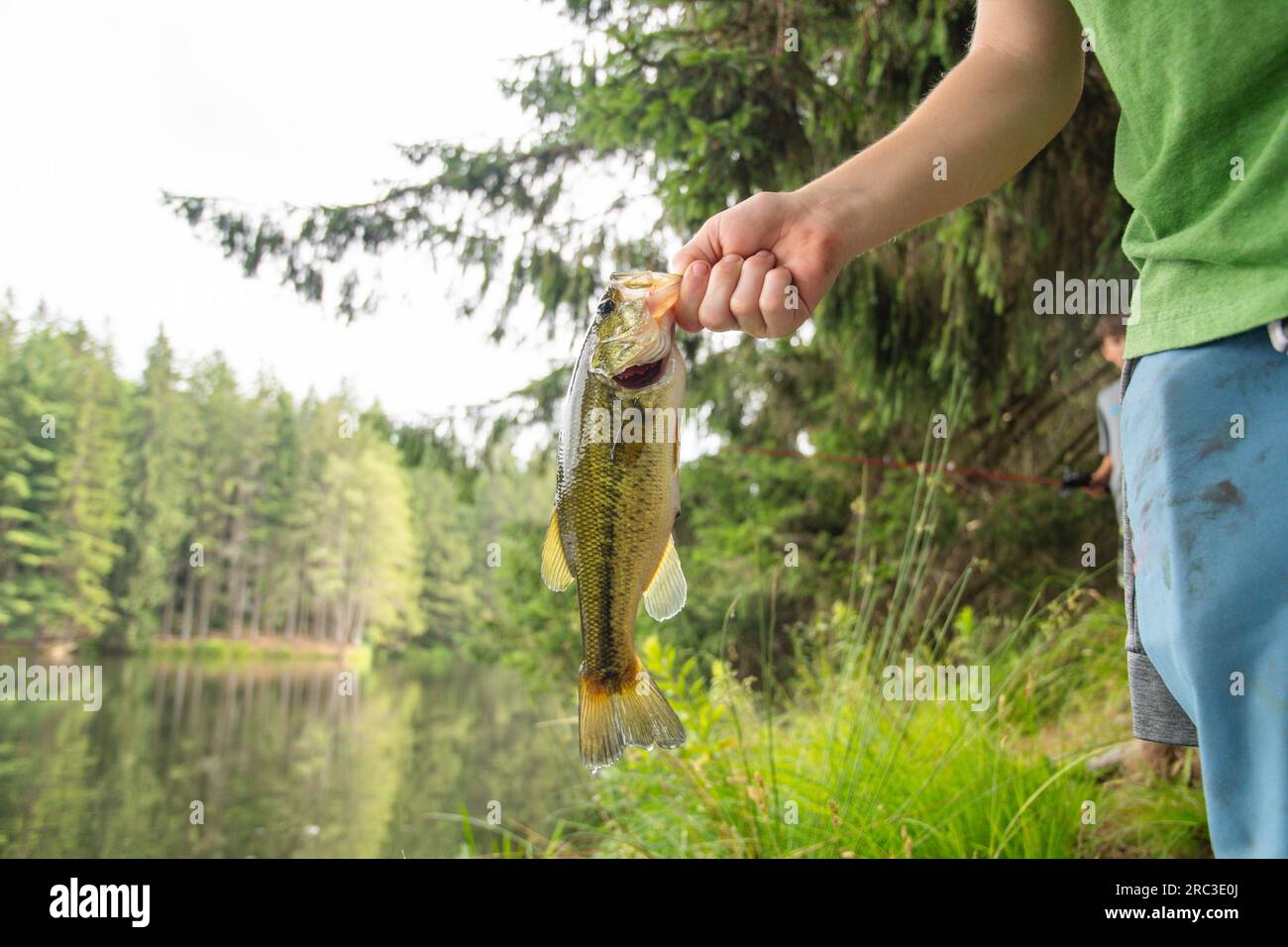 Vous détenez un bar frais d'été, pêche côtière activité d'été loisir plaisir. Banque D'Images