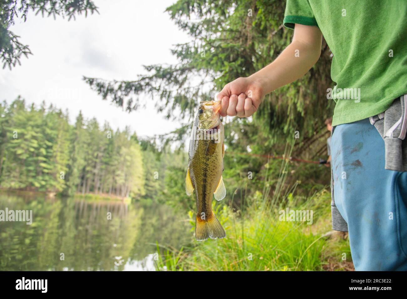 Vous détenez un bar frais d'été, pêche côtière activité d'été loisir plaisir. Banque D'Images