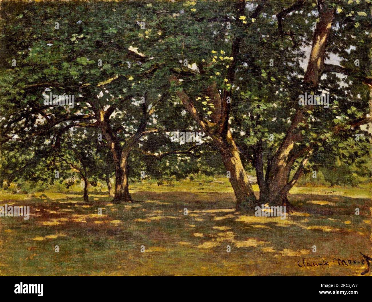 Forêt de Fontainebleau 1865 de Claude Monet Banque D'Images