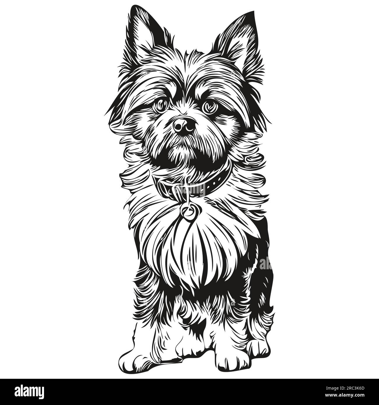 Vecteur de dessin noir de chien Affenpinscher, illustration de ligne d'esquisse de peinture de visage isolé Illustration de Vecteur