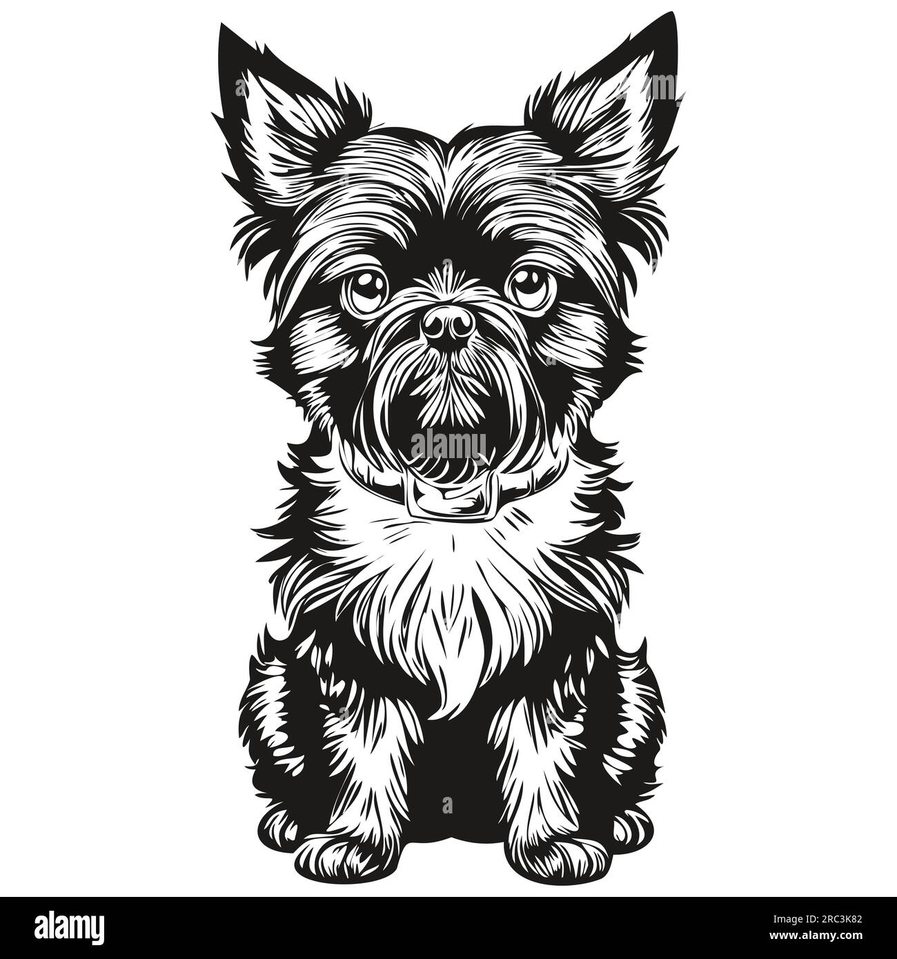 Affenpinscher illustration de ligne de chien, portrait de visage de croquis d'encre noire et blanche dans la silhouette réaliste d'animal de compagnie vecteur Illustration de Vecteur