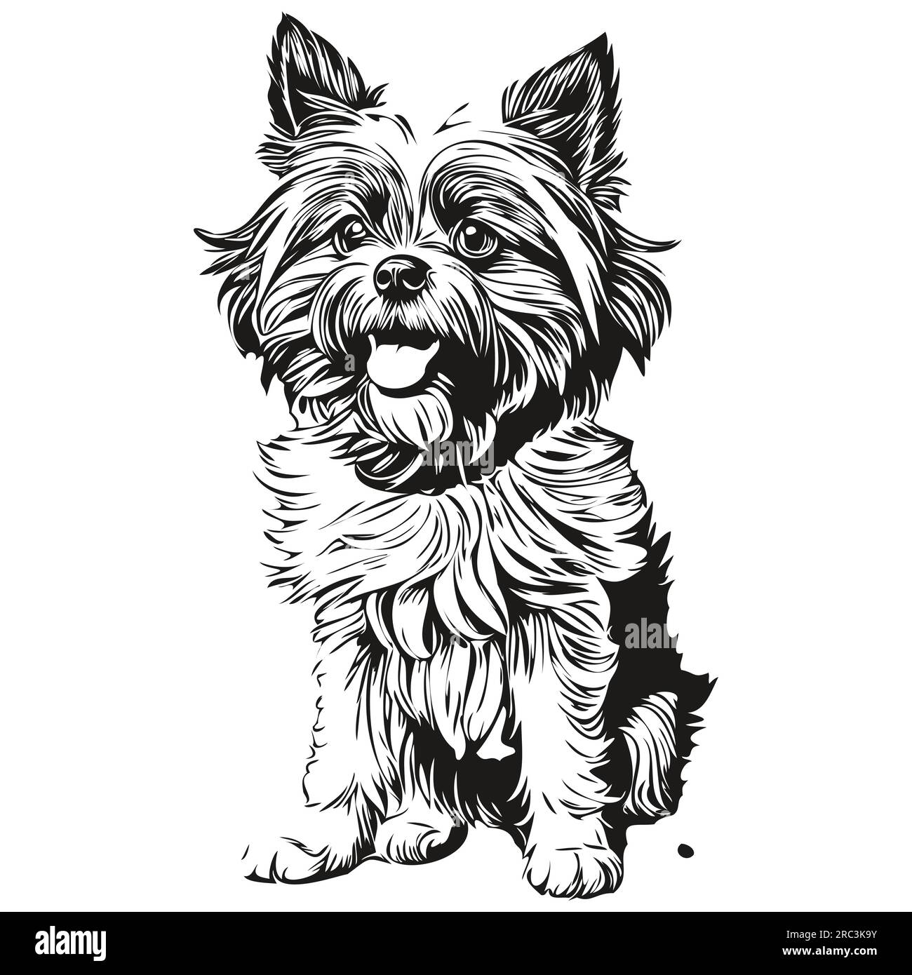 Illustration de dessin au crayon contour de chien Affenpinscher, caractère noir sur fond blanc Illustration de Vecteur