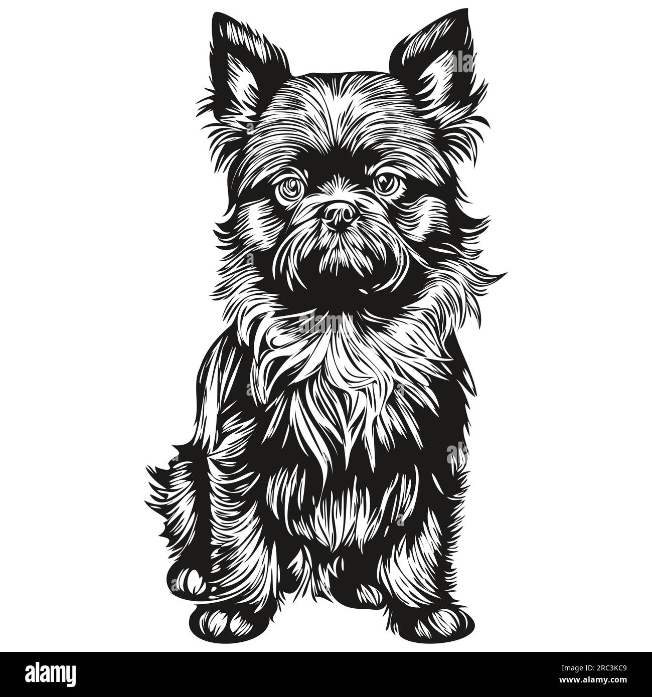Affenpinscher personnage de silhouette de chien animal de compagnie, clip art vecteur animaux de compagnie dessin noir et blanc dessin d'esquisse Illustration de Vecteur