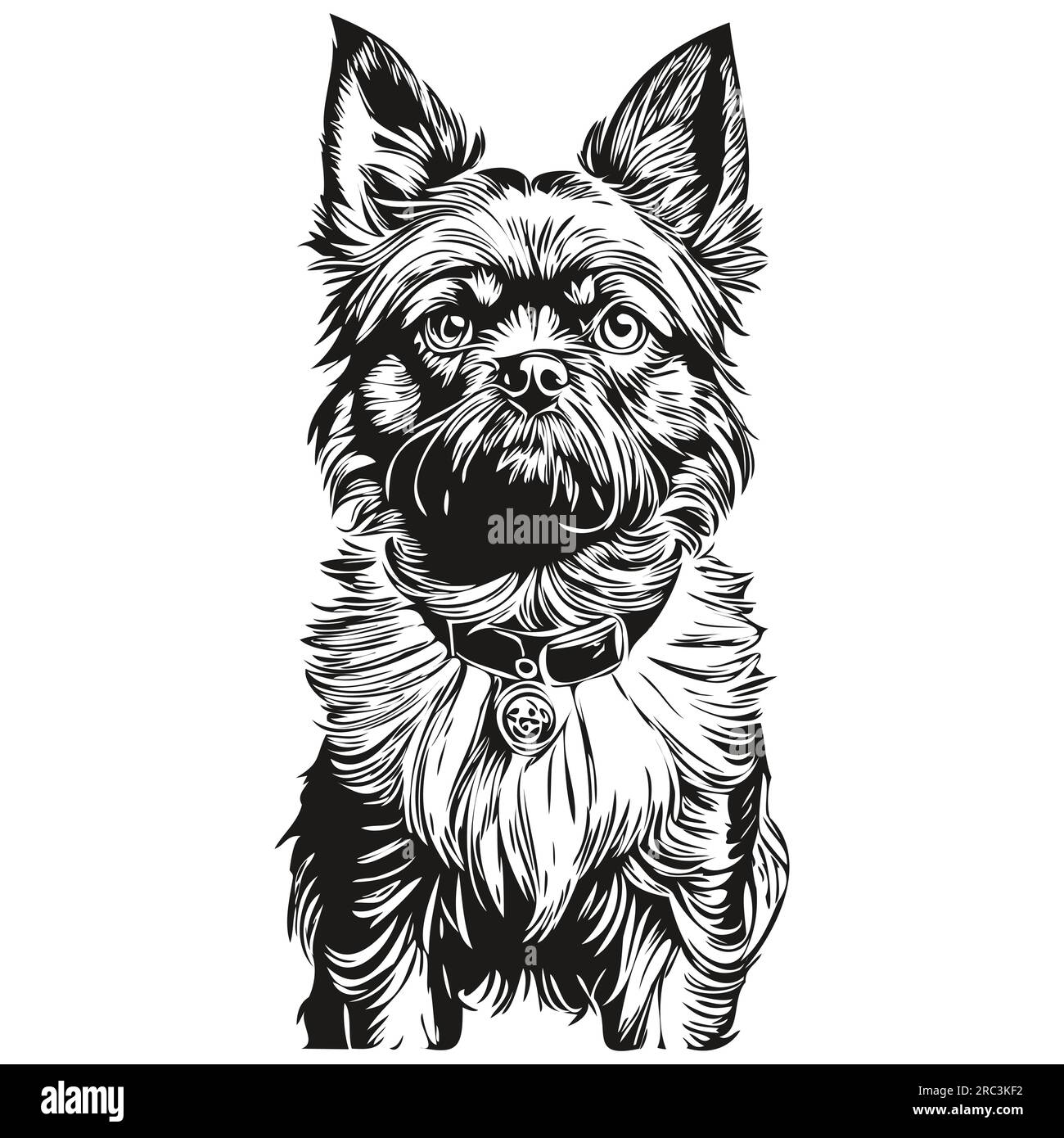 Affenpinscher chien dessin animé portrait d'encre de visage, dessin d'esquisse noir et blanc, dessin d'esquisse d'impression de tshirt Illustration de Vecteur