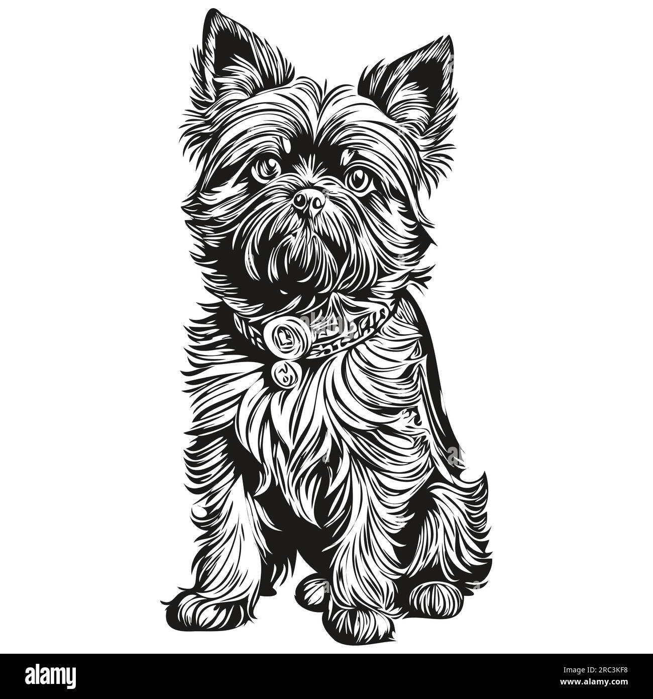 Affenpinscher chien dessin animé portrait d'encre de visage, dessin d'esquisse noir et blanc, impression de tshirt Illustration de Vecteur