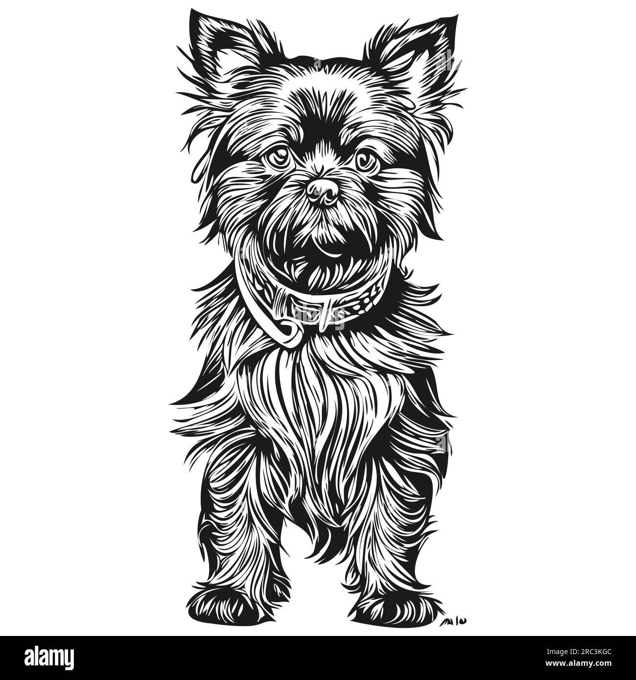 Affenpinscher chien illustration réaliste pour animaux de compagnie, dessin à la main visage noir et blanc vecteur animal de compagnie réaliste de race Illustration de Vecteur