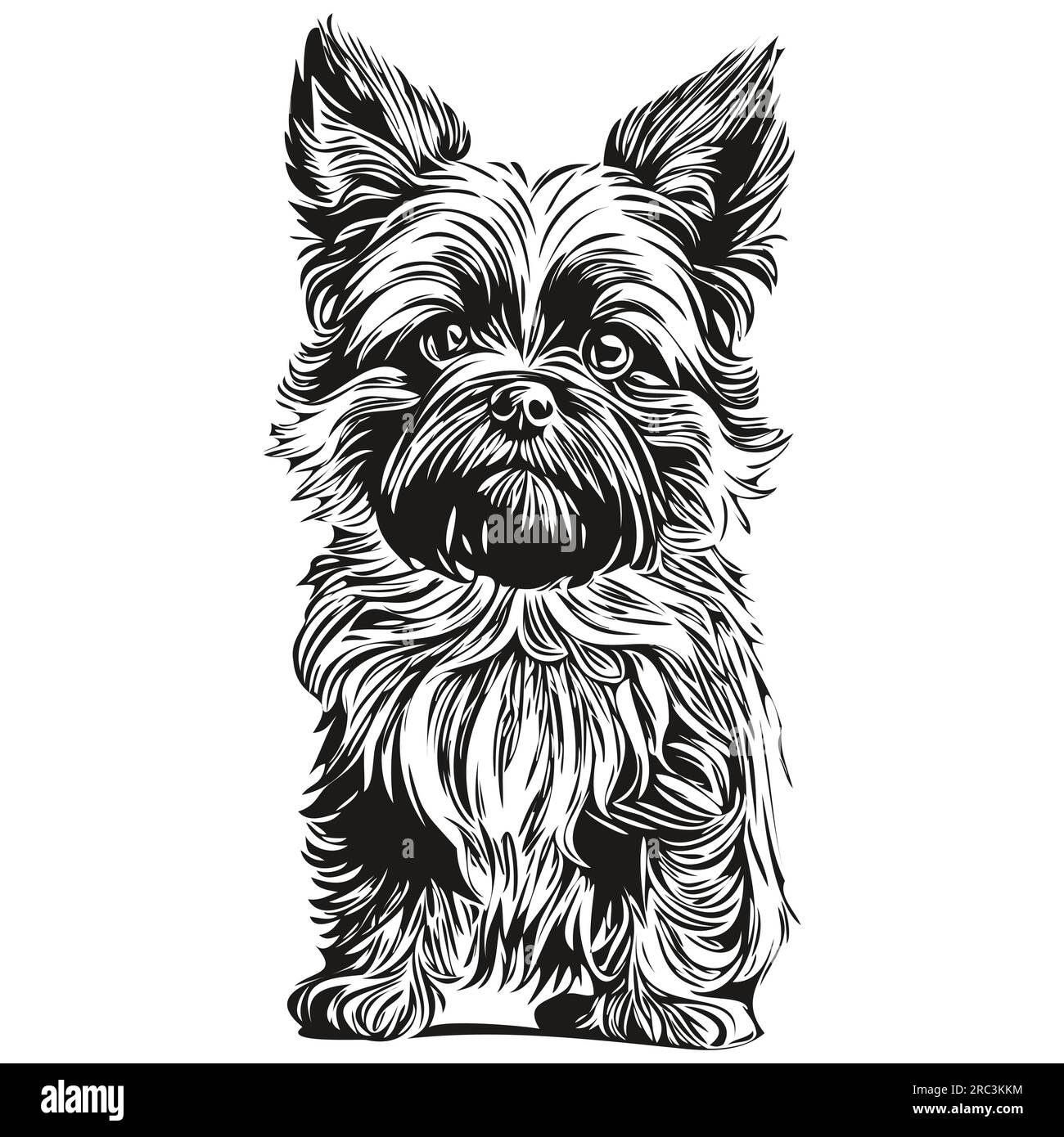 Affenpinscher vecteur de dessin à la main crayon chien, contour illustration logo visage animal de compagnie noir et blanc Illustration de Vecteur