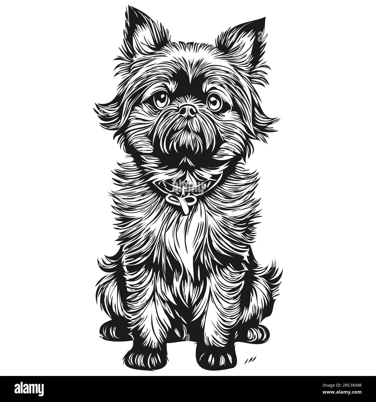 Illustration de croquis pour chien Affenpinscher, dessin vectoriel de gravure noir et blanc Illustration de Vecteur