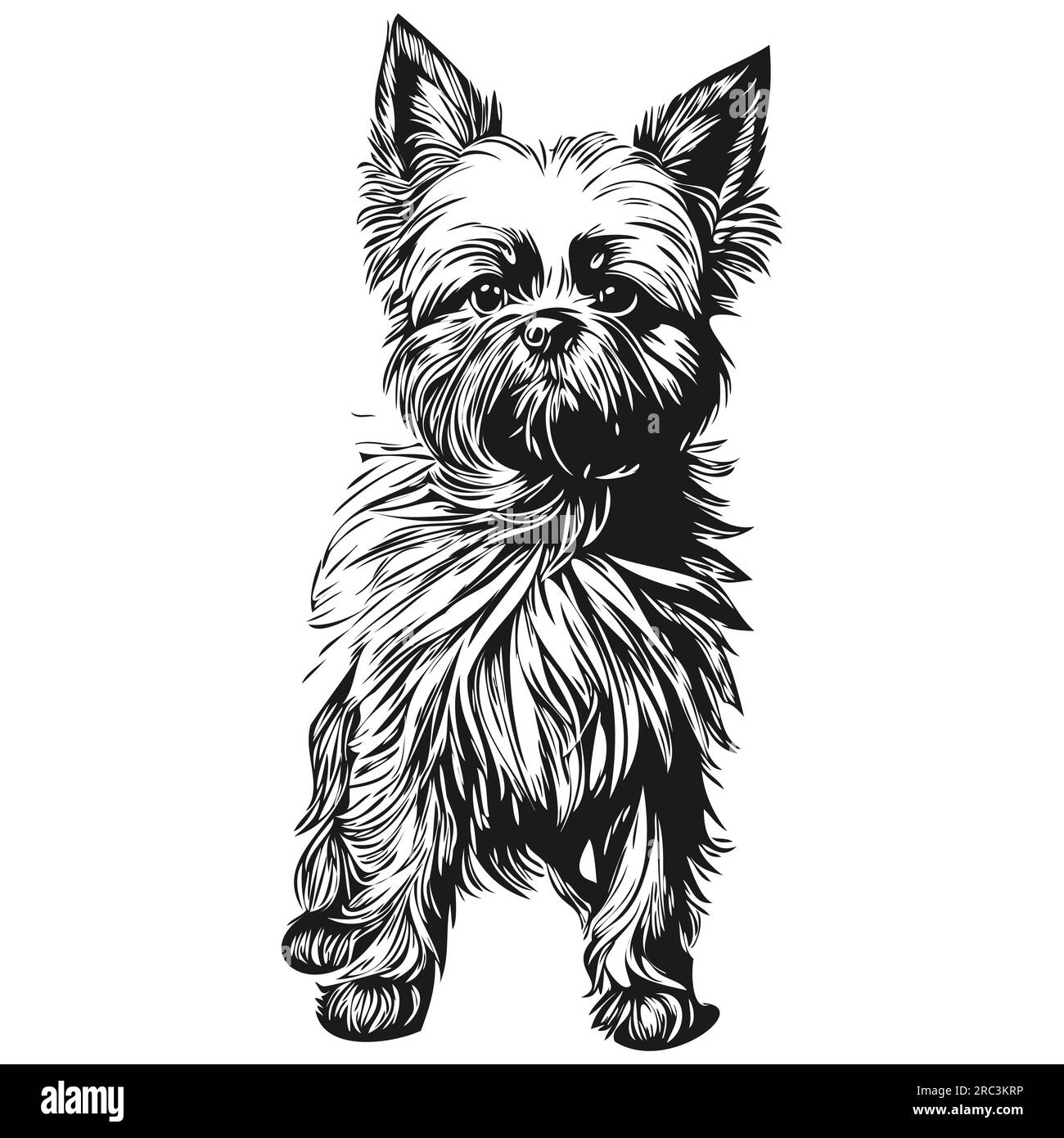Affenpinscher chien t shirt imprimé noir et blanc, mignon dessin de contour drôle vecteur réaliste animal de compagnie Illustration de Vecteur