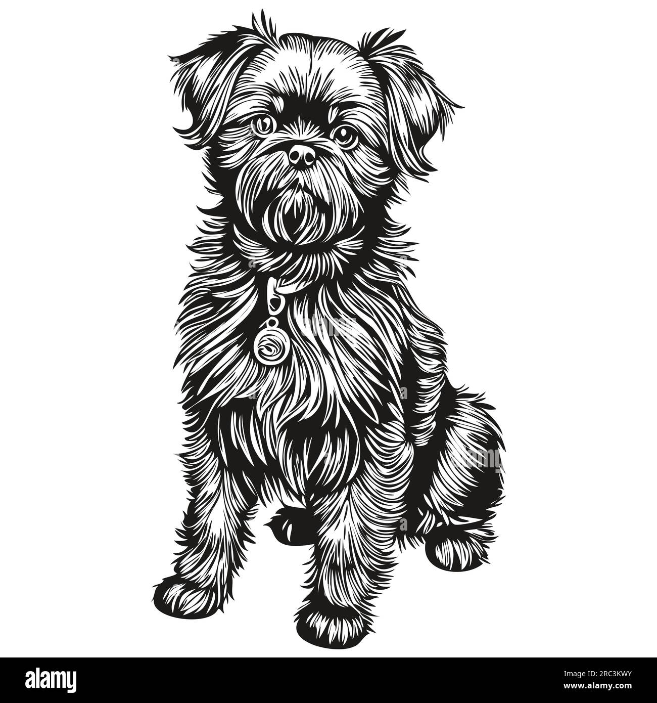 Affenpinscher chien t shirt imprimé noir et blanc, mignon vecteur de dessin de contour drôle Illustration de Vecteur