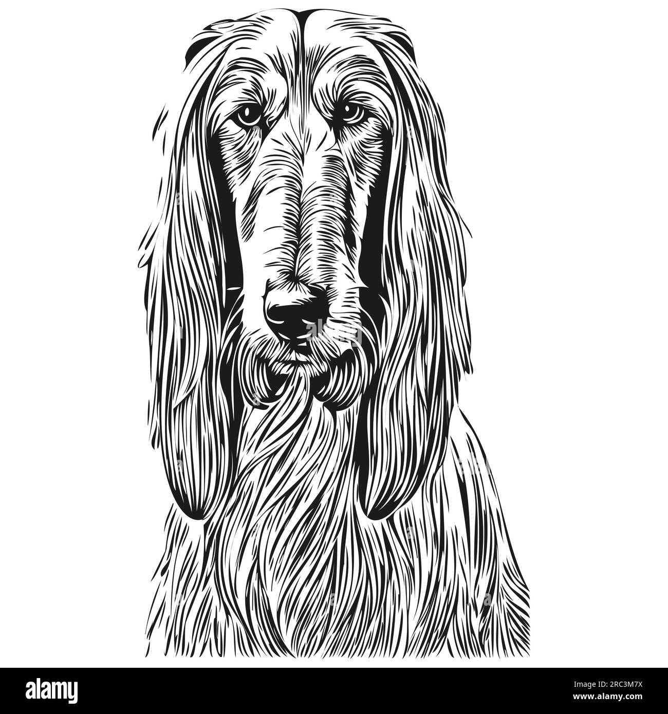 Chien chien chien de chien chien chien de chien dessiné à la main dessin noir et blanc dessin dessin dessin dessin dessin dessin au trait Illustration de Vecteur