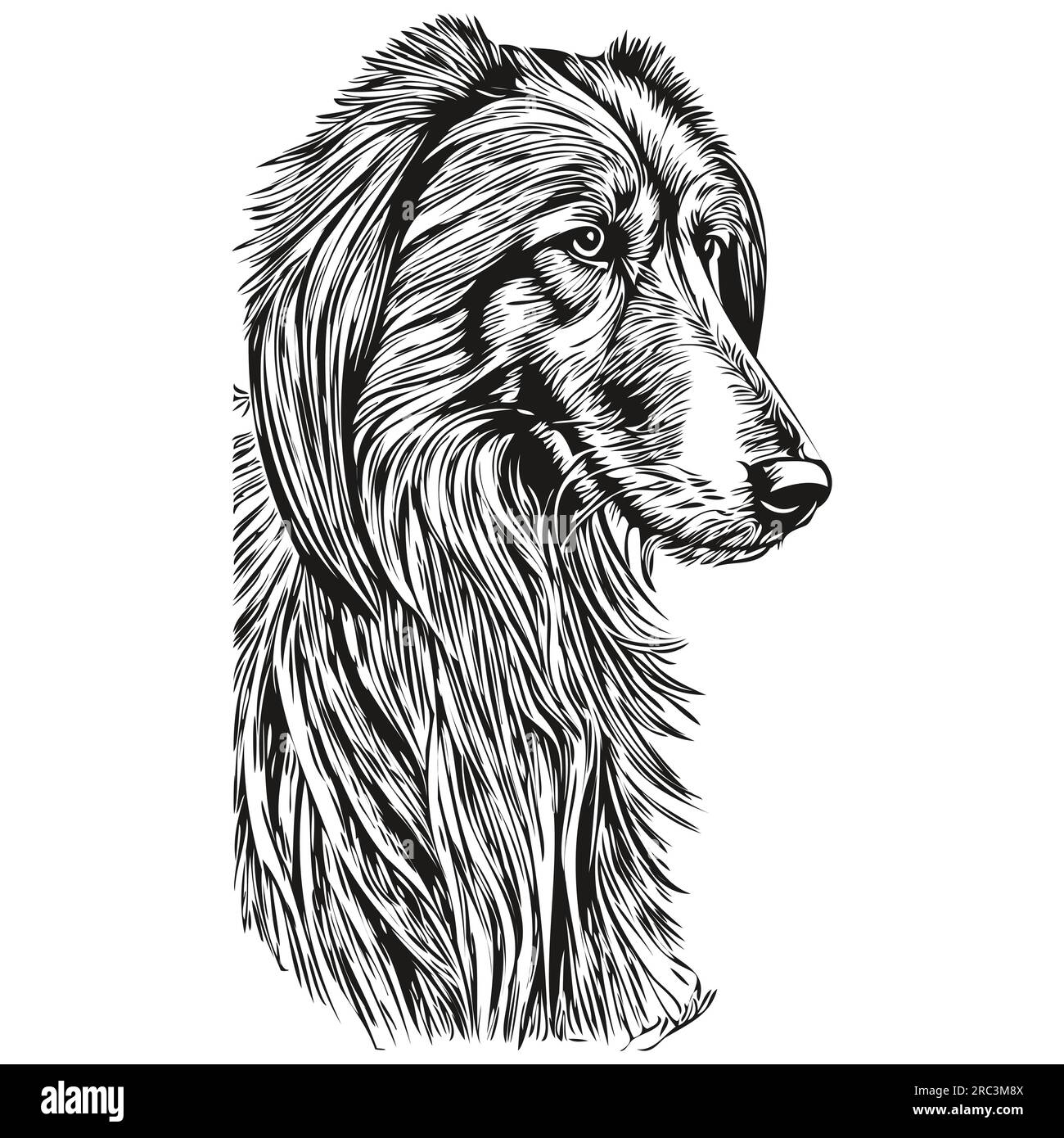 Vecteur de dessin noir chien de chien de chien de troupeau afghan, peinture de visage isolé dessin d'esquisse illustration de ligne d'esquisse Illustration de Vecteur