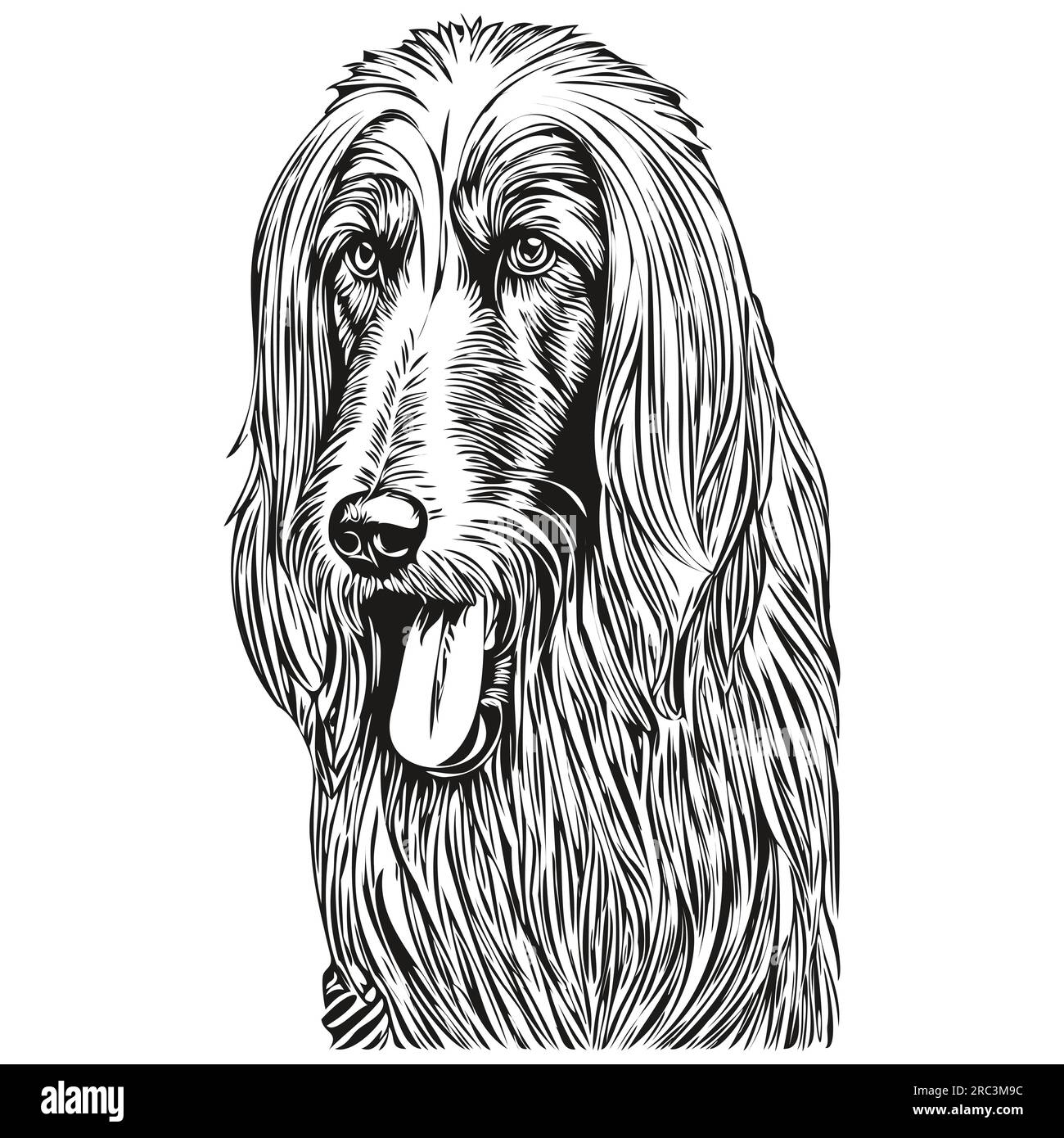 Afghan Hound chien logo dessiné à la main dessin noir et blanc dessin d'animaux de compagnie illustration silhouette réaliste d'animal de compagnie Illustration de Vecteur