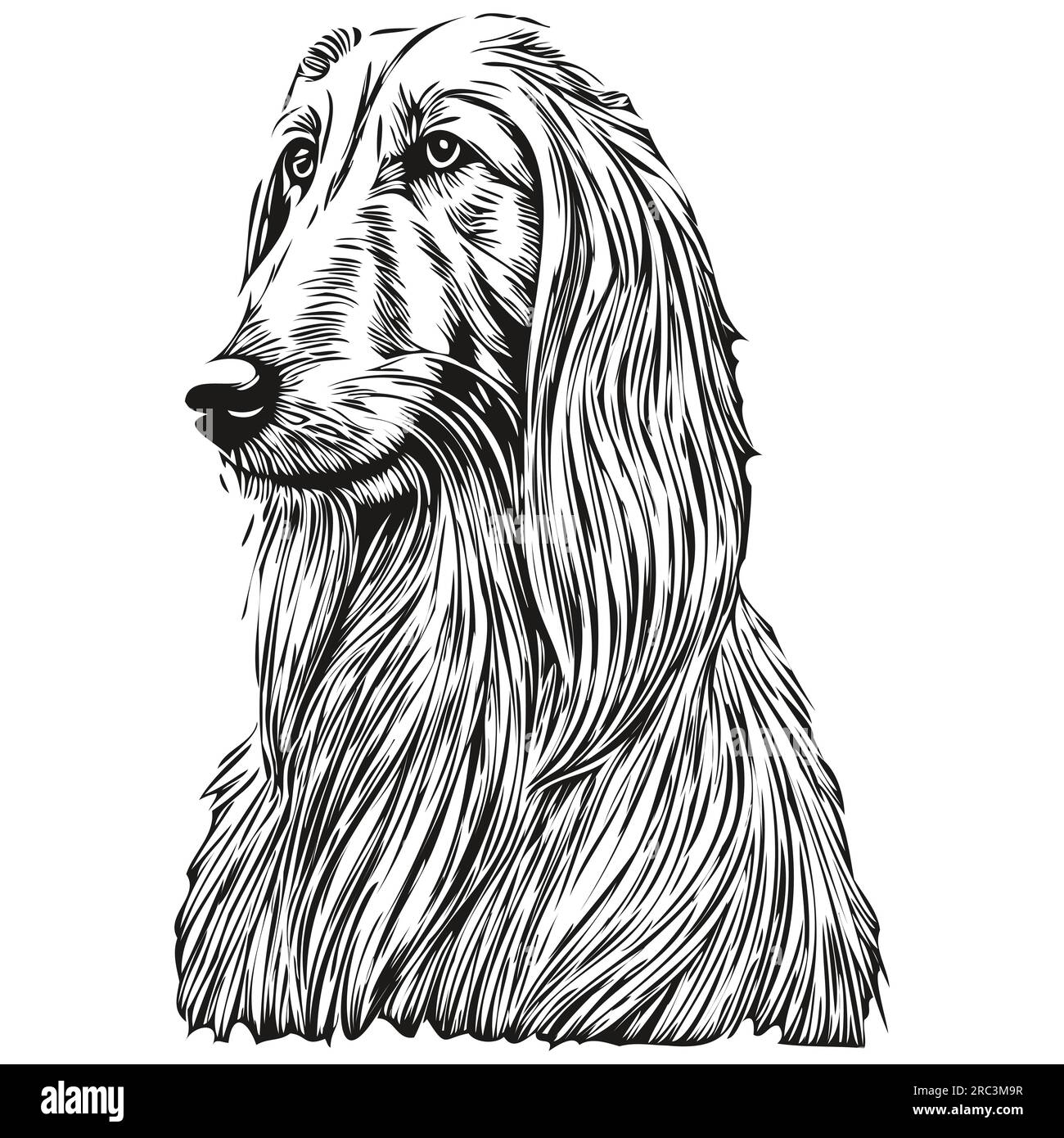 Portrait à l'encre de visage de dessin animé afghan Hound Dog, dessin d'esquisse noir et blanc, dessin d'esquisse imprimé tshirt Illustration de Vecteur