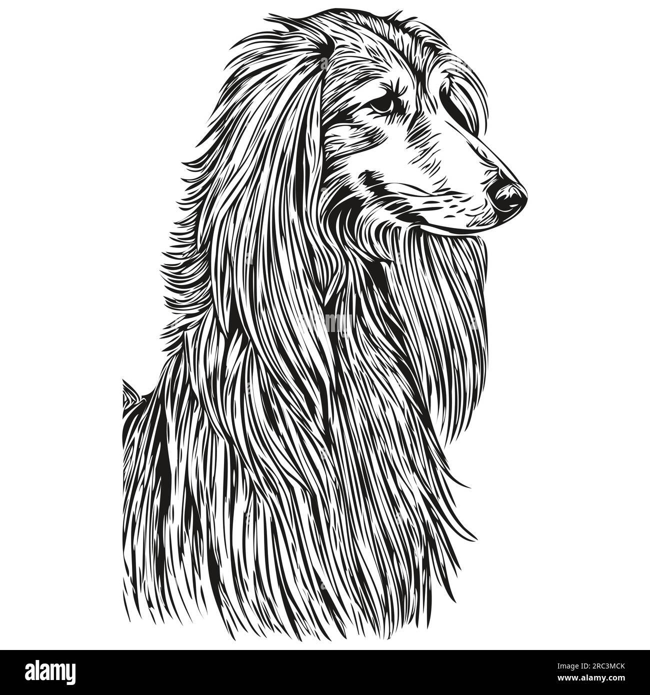 Chien chien chien de chien de chien de chien de chien dessiné à la main dessin noir et blanc illustration d'animaux de compagnie Illustration de Vecteur