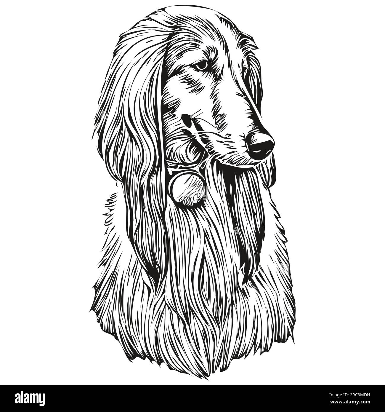 Portrait vectoriel de visage de chien de chien de chien de chien, dessin d'esquisse de contour drôle d'animal de compagnie dessin blanc de fond Illustration de Vecteur