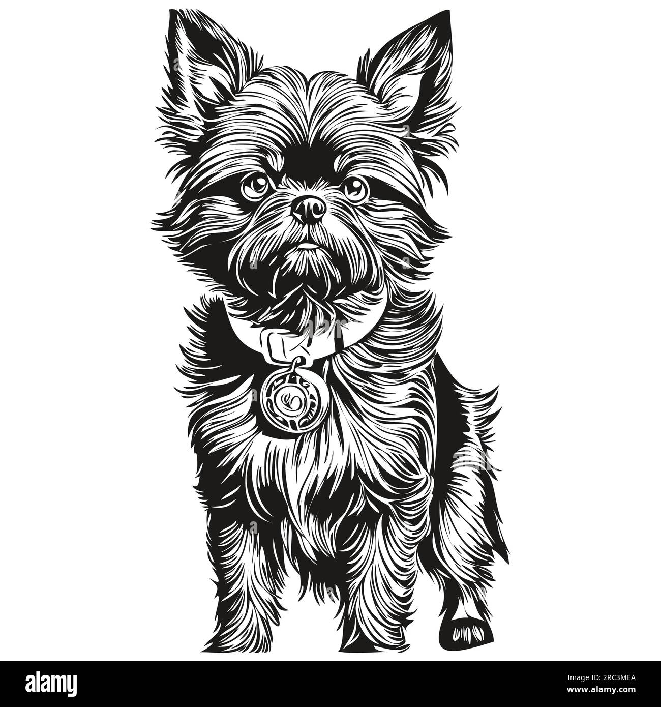 Affenpinscher chien dessin animé portrait d'encre de visage, dessin d'esquisse noir et blanc, tshirt imprimé silhouette réaliste d'animal de compagnie Illustration de Vecteur