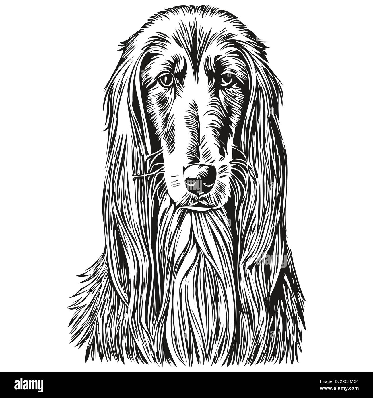 Afghan Hound chien logo vecteur noir et blanc, tête de chien mignon vintage gravé réaliste animal de compagnie Illustration de Vecteur