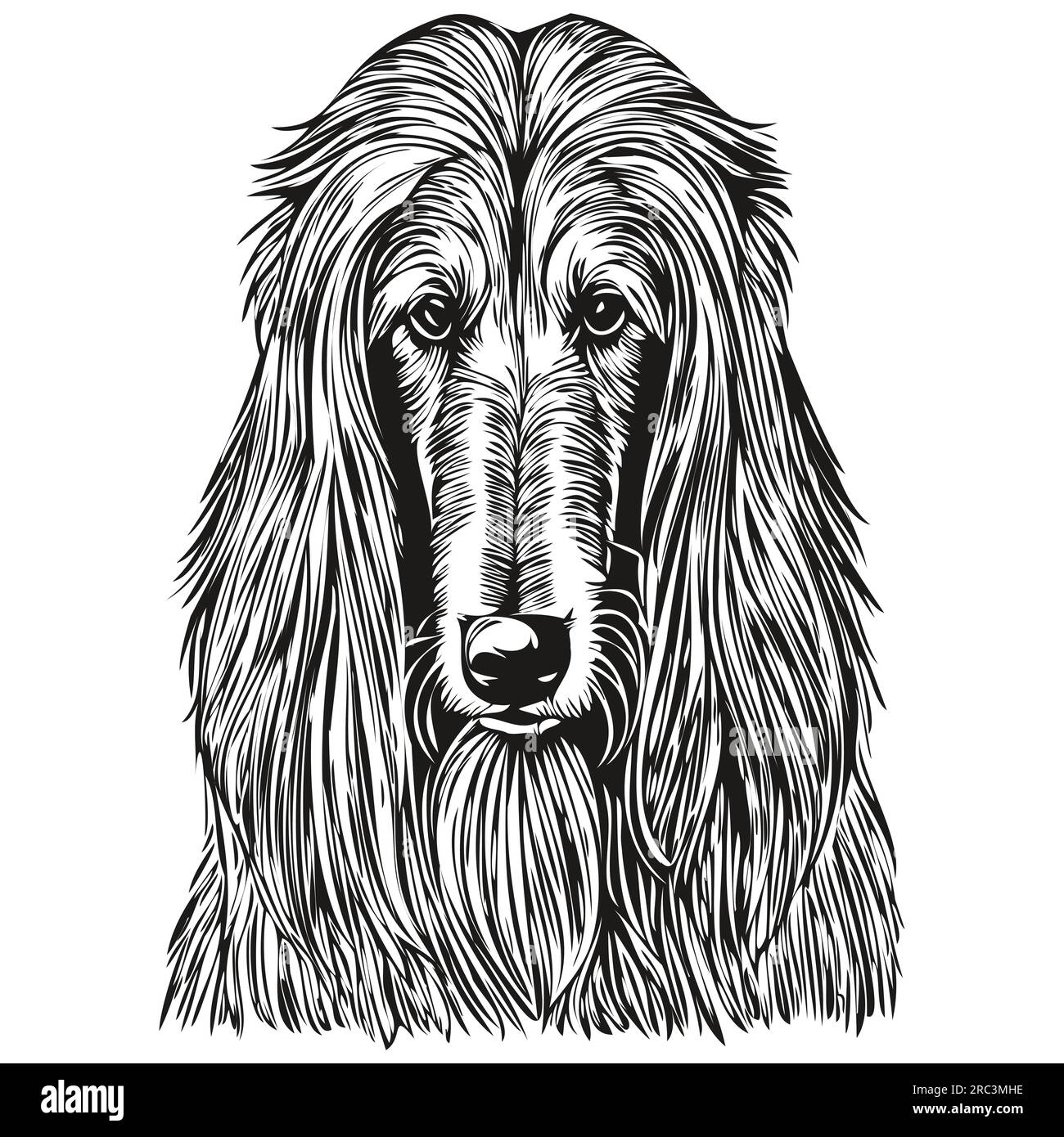 Illustration de ligne de chien de chien de chien de chien, portrait de croquis d'encre noir et blanc de visage dans le dessin de croquis vectoriel Illustration de Vecteur