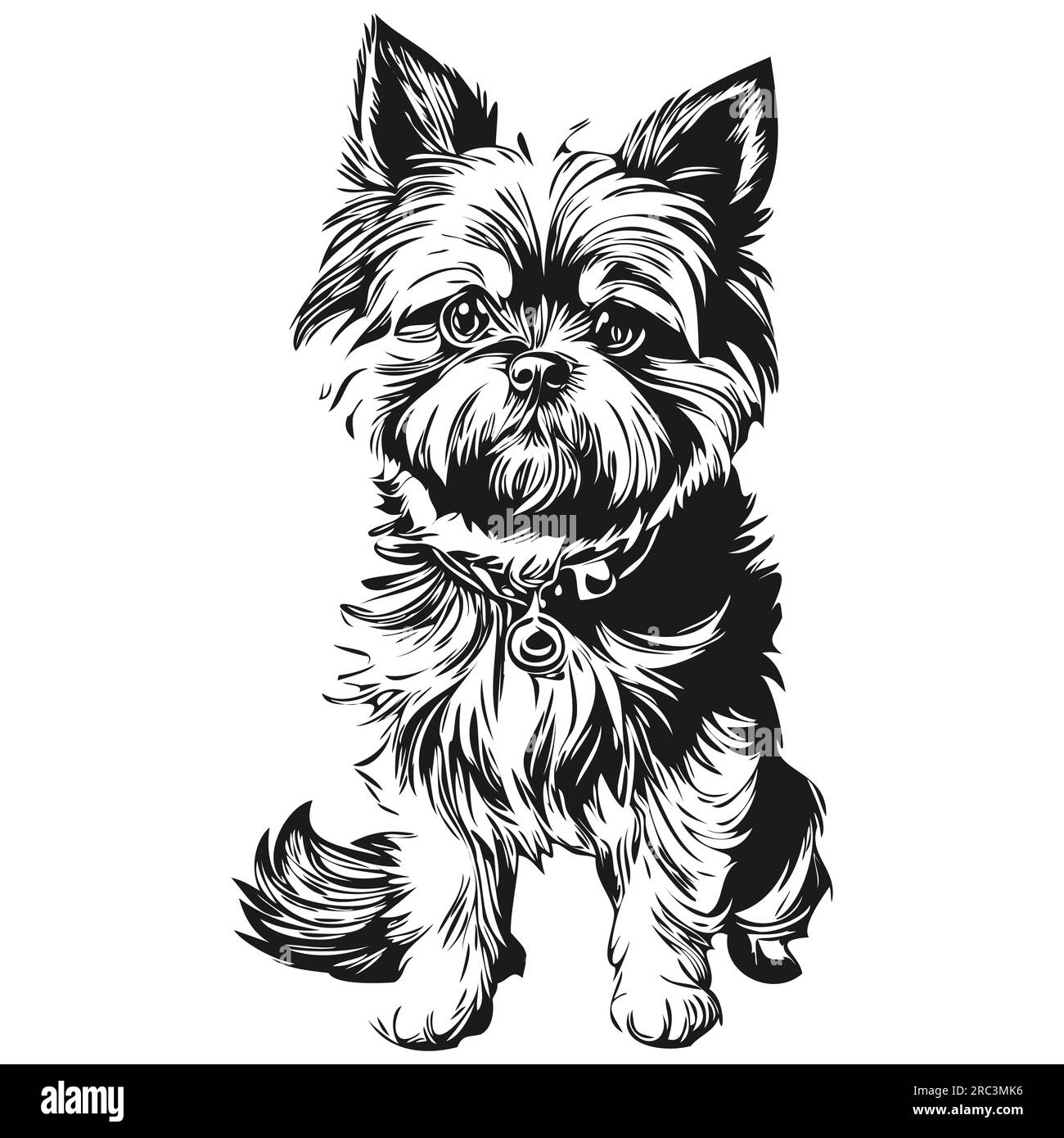 Affenpinscher illustration de ligne de chien, portrait de visage de croquis à l'encre noire et blanche dans vecteur animal de compagnie réaliste de race Illustration de Vecteur