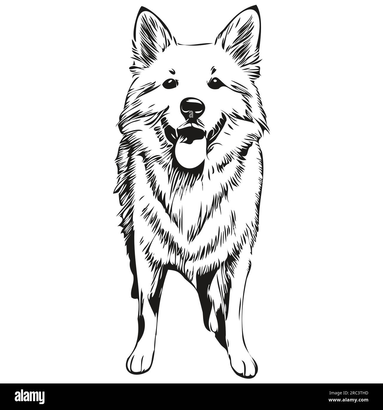 Portrait d'encre de visage de dessin animé de chien Eskimo américain, dessin de croquis noir et blanc, imprimé tshirt animal de compagnie réaliste de race Illustration de Vecteur