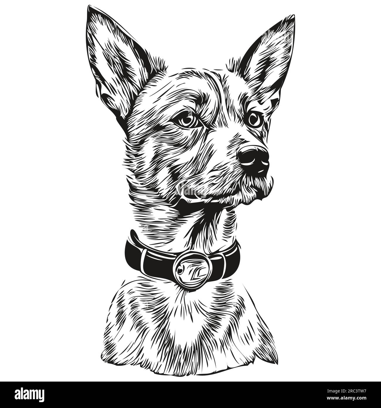 American Hairless Terrier chien dessin animé portrait d'encre de visage, dessin d'esquisse noir et blanc, tshirt imprimé animal de compagnie réaliste de race Illustration de Vecteur