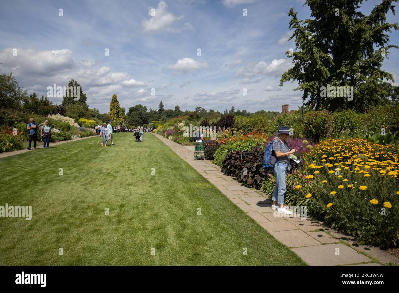 Frontières mixtes aux jardins RHS Wisley, Surrey, Angleterre, Royaume-Uni Banque D'Images