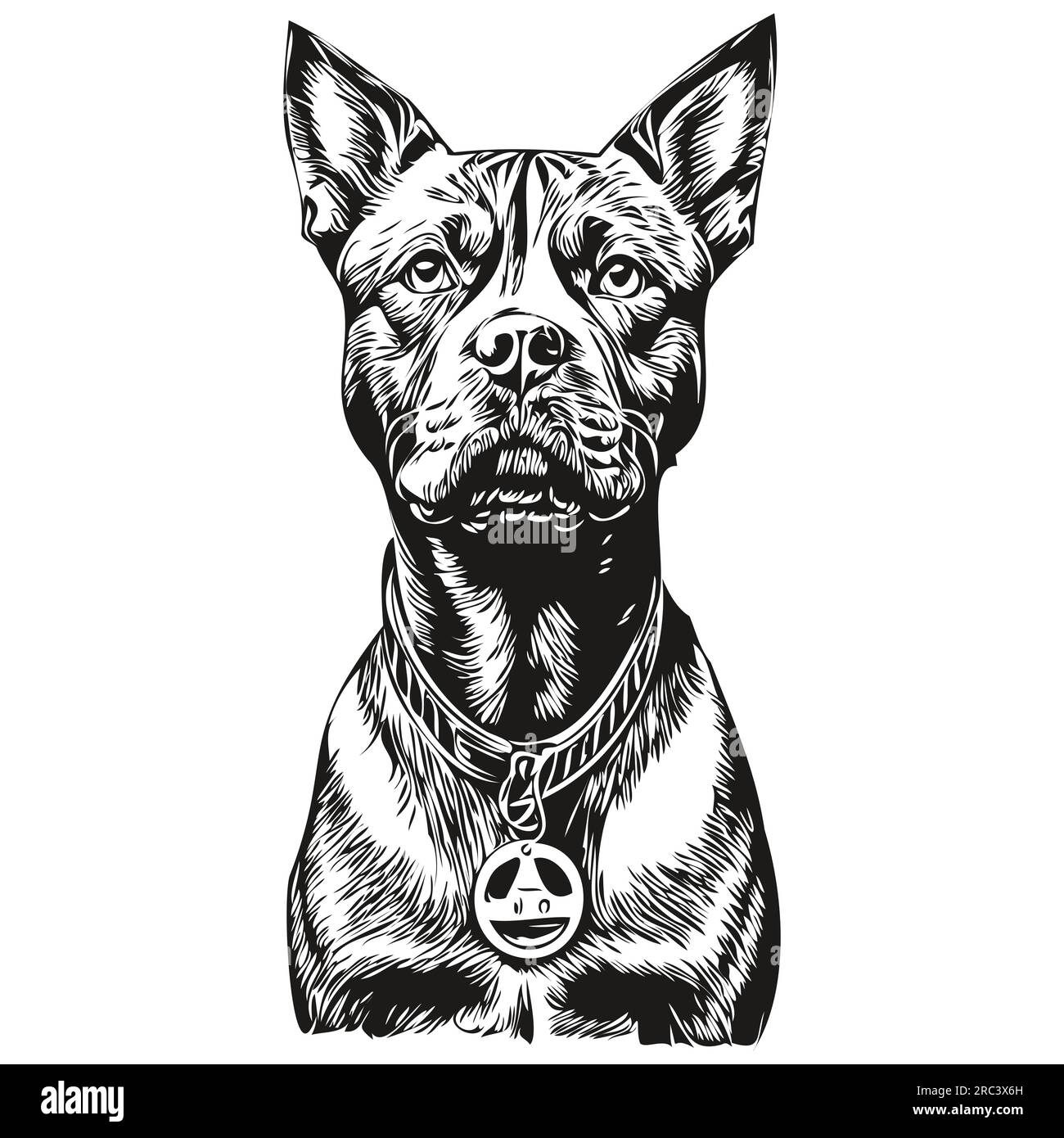 American Staffordshire Terrier chien dessin animé portrait d'encre de visage, dessin d'esquisse noir et blanc, tshirt imprimé animal de compagnie réaliste de race Illustration de Vecteur