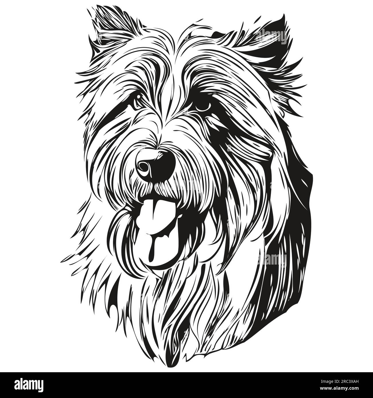 Chien Collie barbu dessin isolé sur fond blanc, tête d'animal de compagnie illustration prêt t-shirt imprimé Illustration de Vecteur