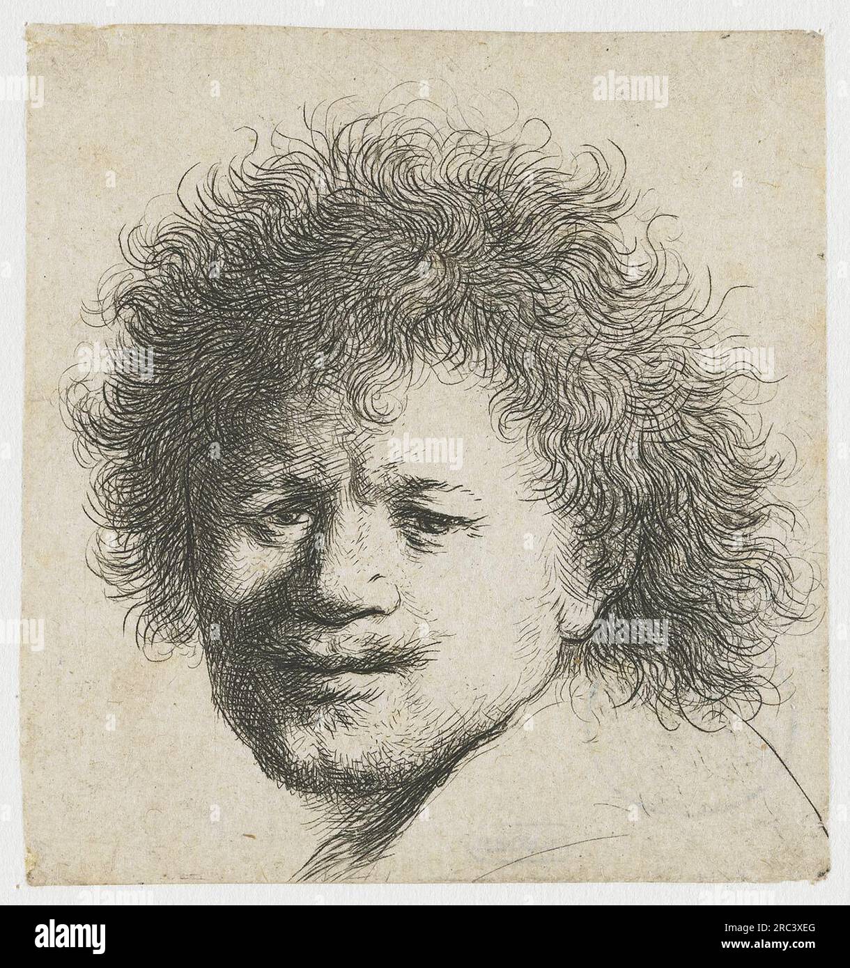 Autoportrait aux longs cheveux touffus 1631 par Rembrandt Banque D'Images