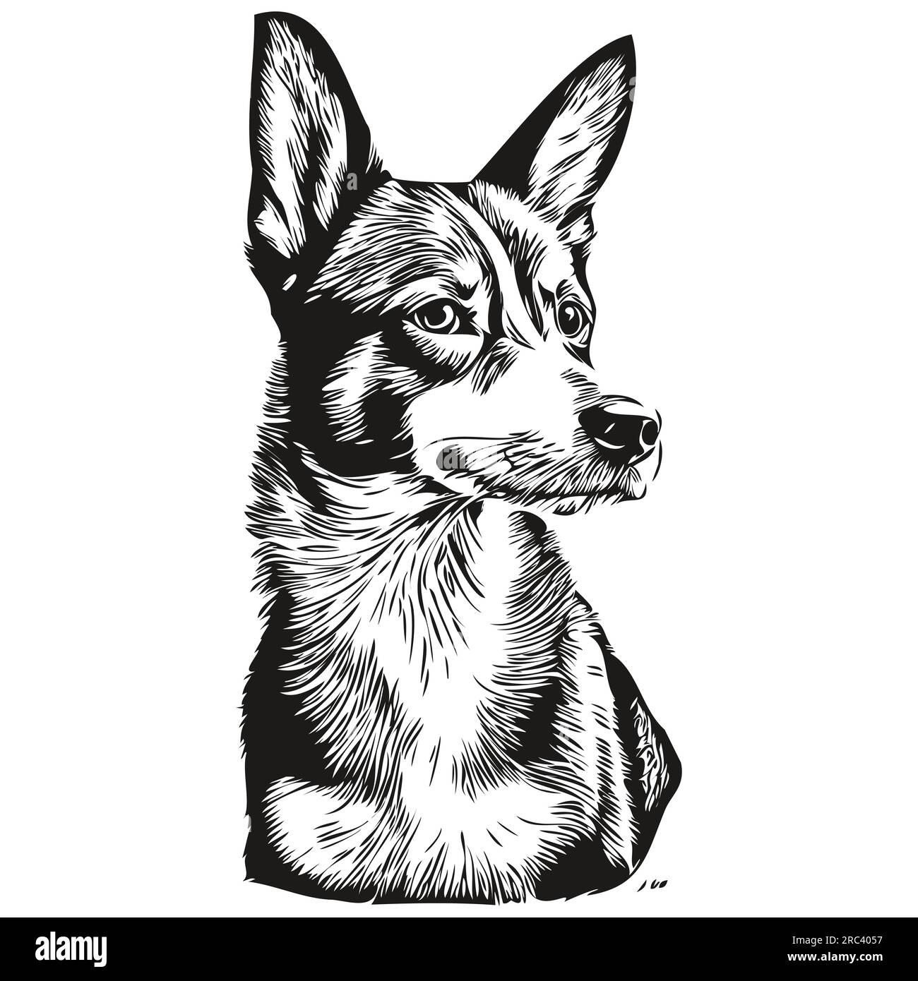 Dessin au trait de race de chien Basenji, clip art animal dessin à la main vecteur noir et blanc Illustration de Vecteur